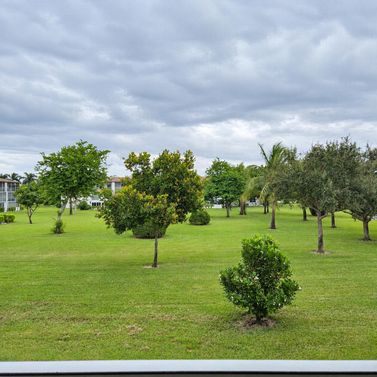 view from balcony