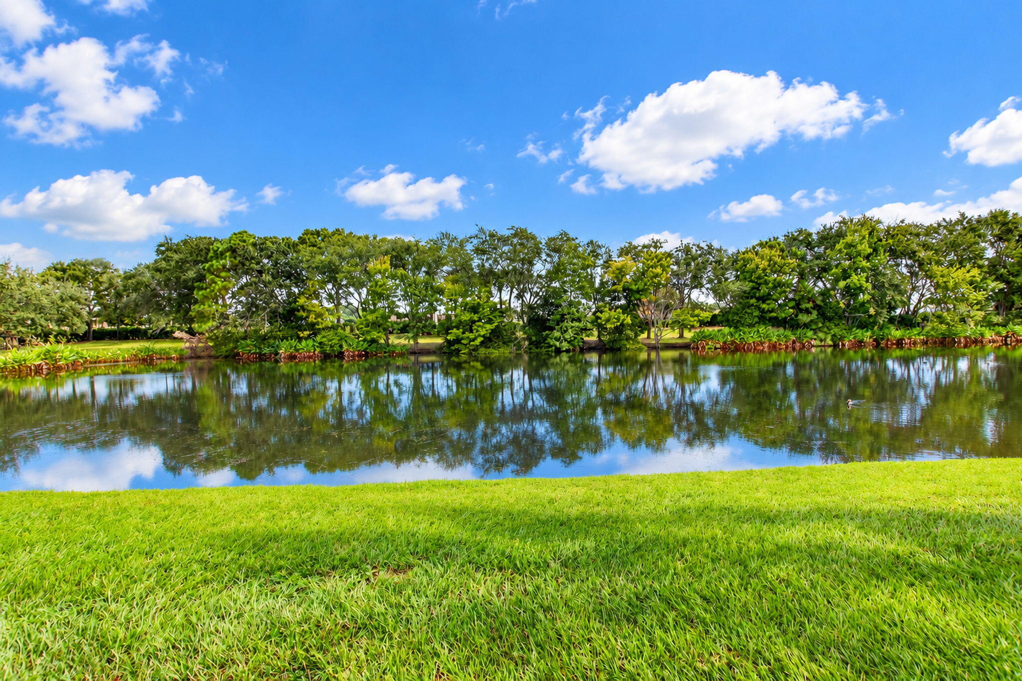 27-web-or-mls-DSC_0498