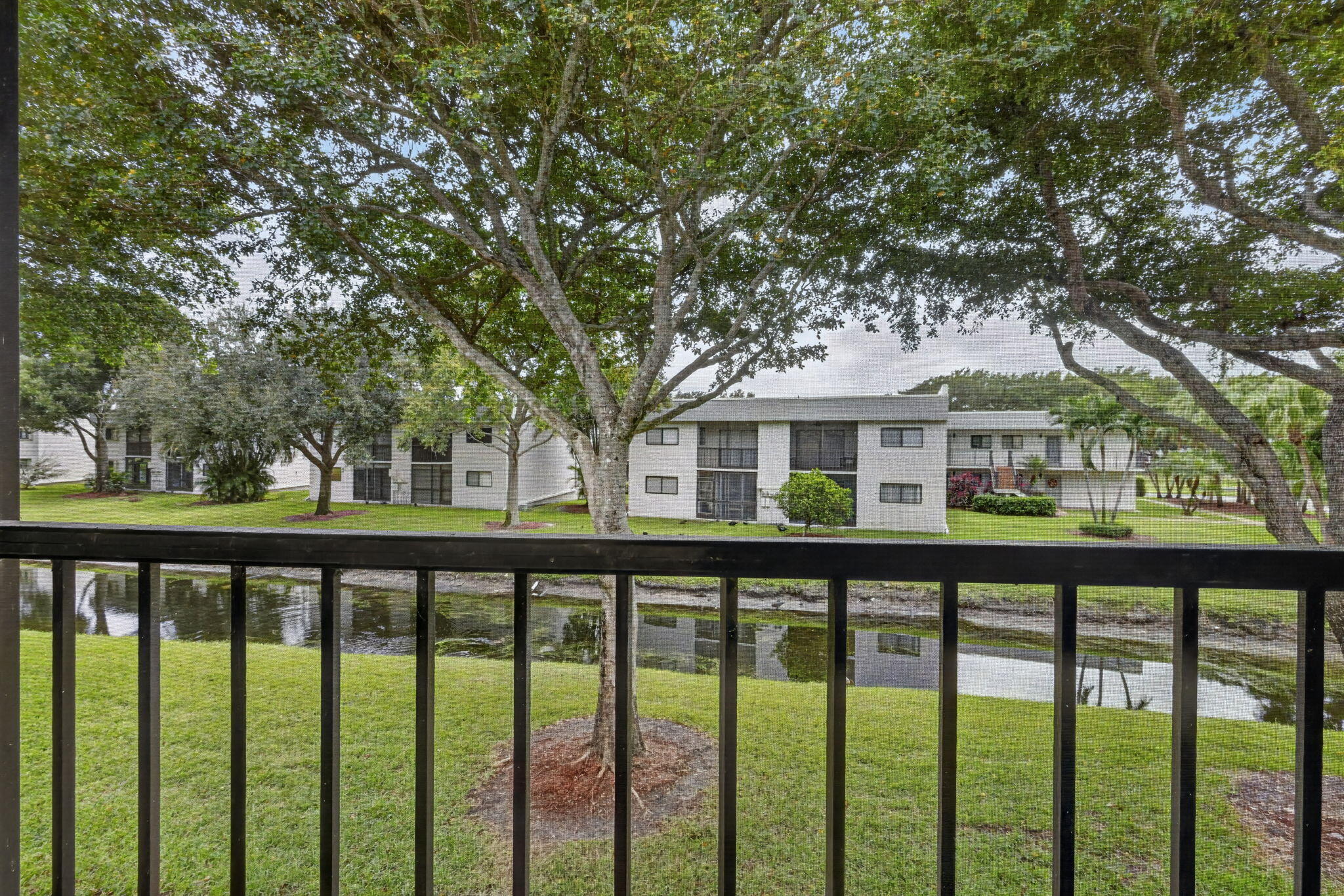 32-web-or-mls-_14A9349