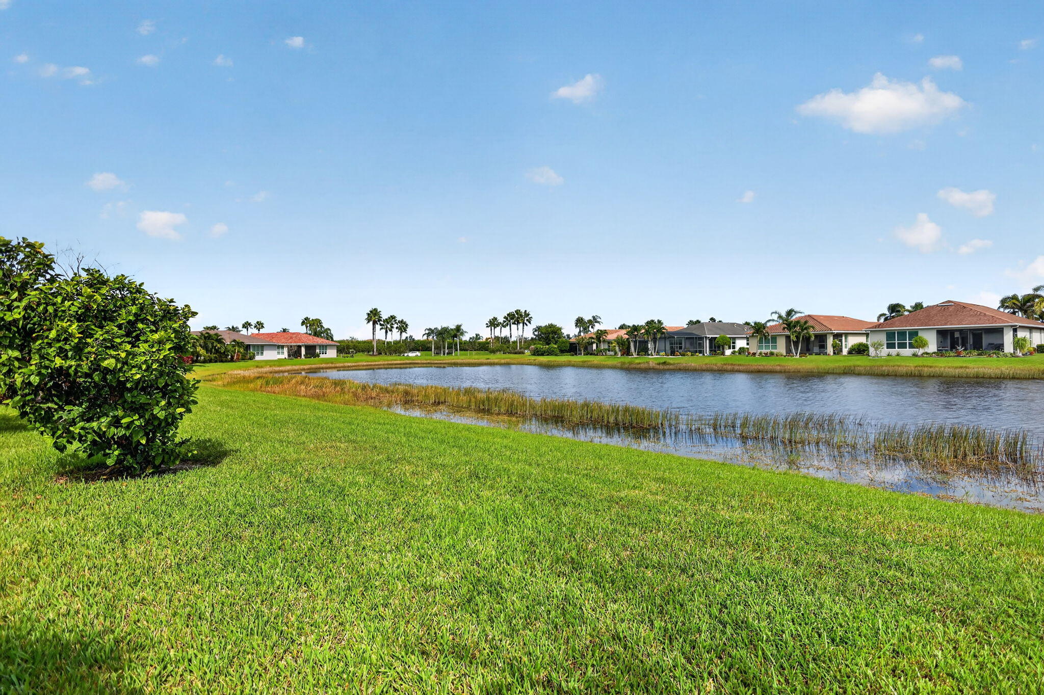46-web-or-mls-5P1A2413