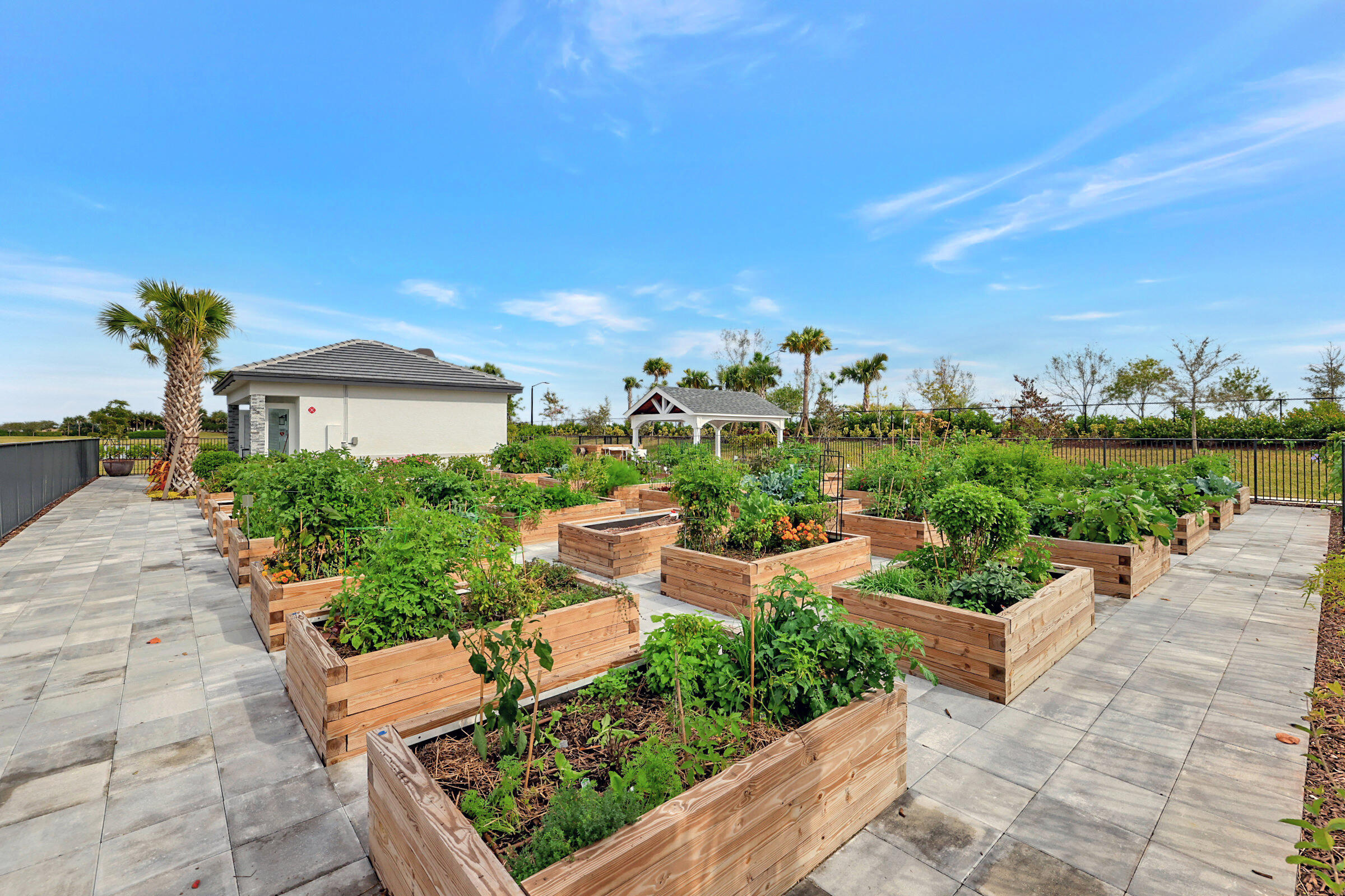 RAISED BED GARDENS