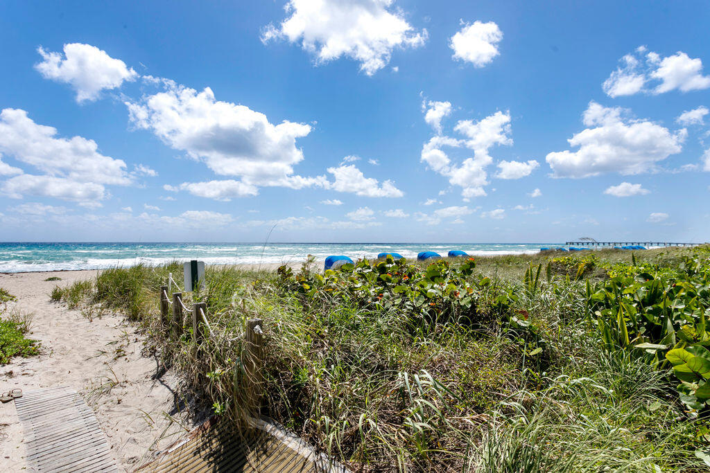 The Beach