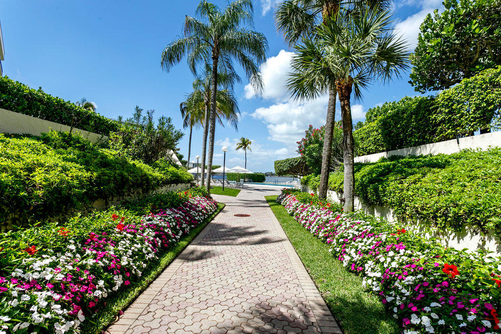 Walkway to the Pool
