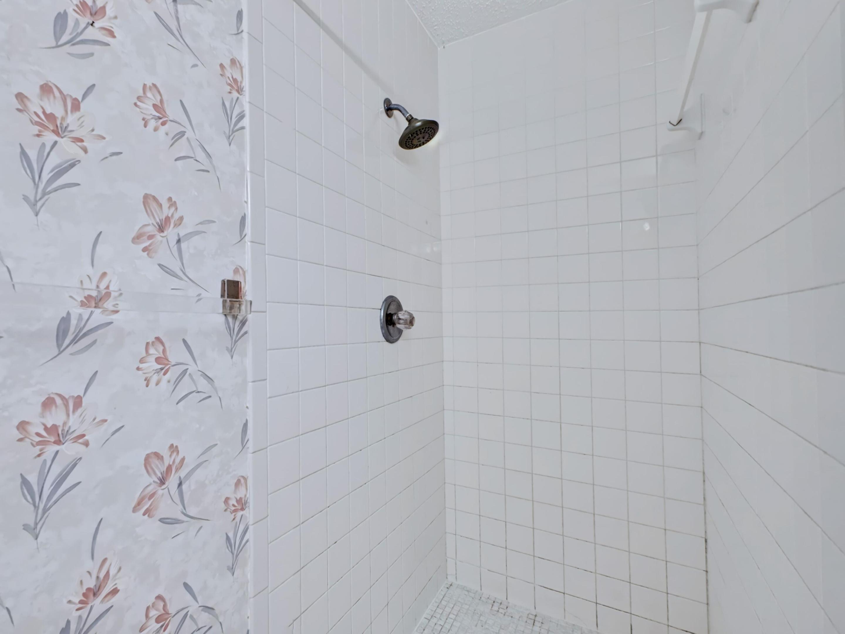 Primary Bathroom Shower