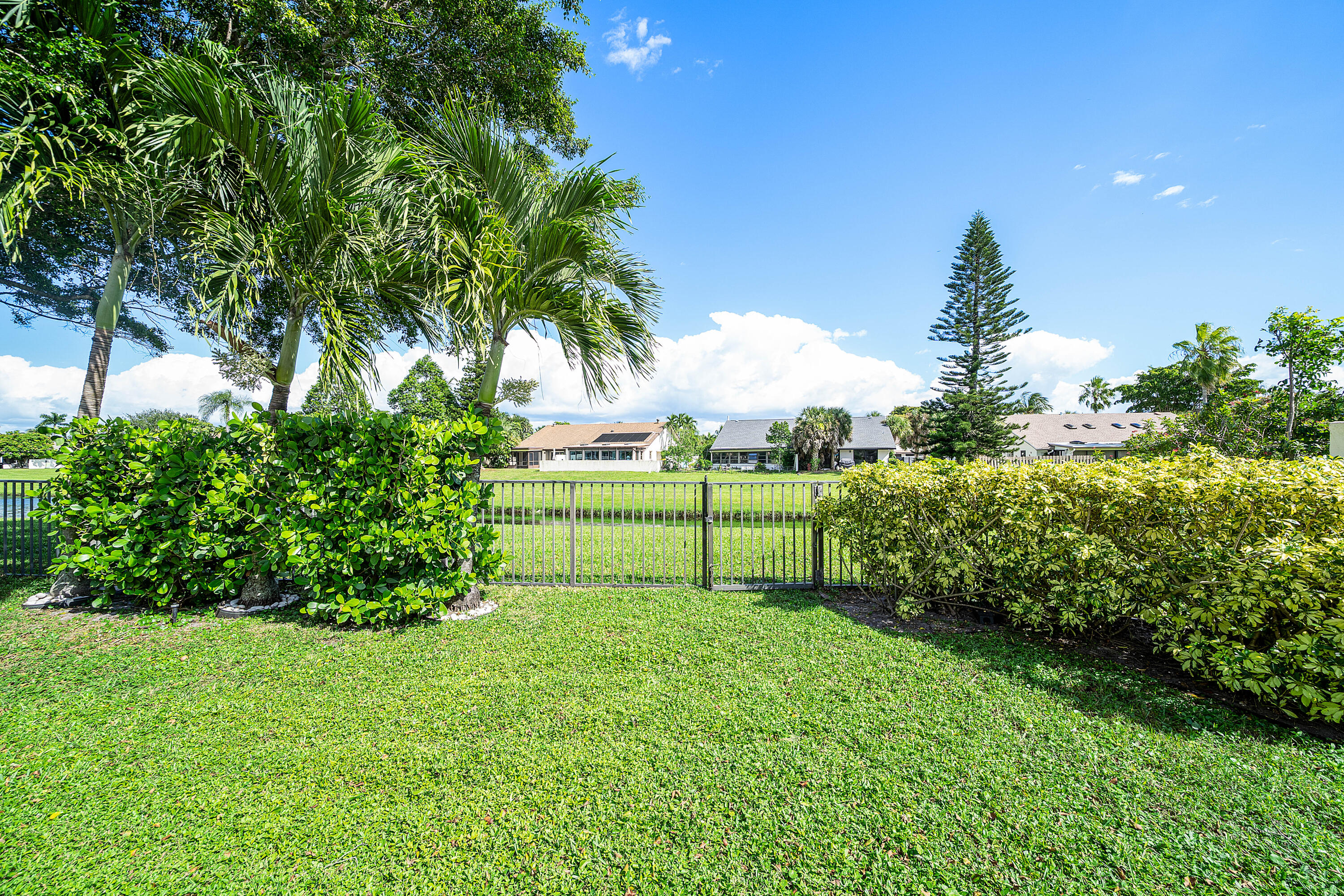 Expansive grass lawn featuring mature palm trees, perimeter shrubbery, and a metal gate fence