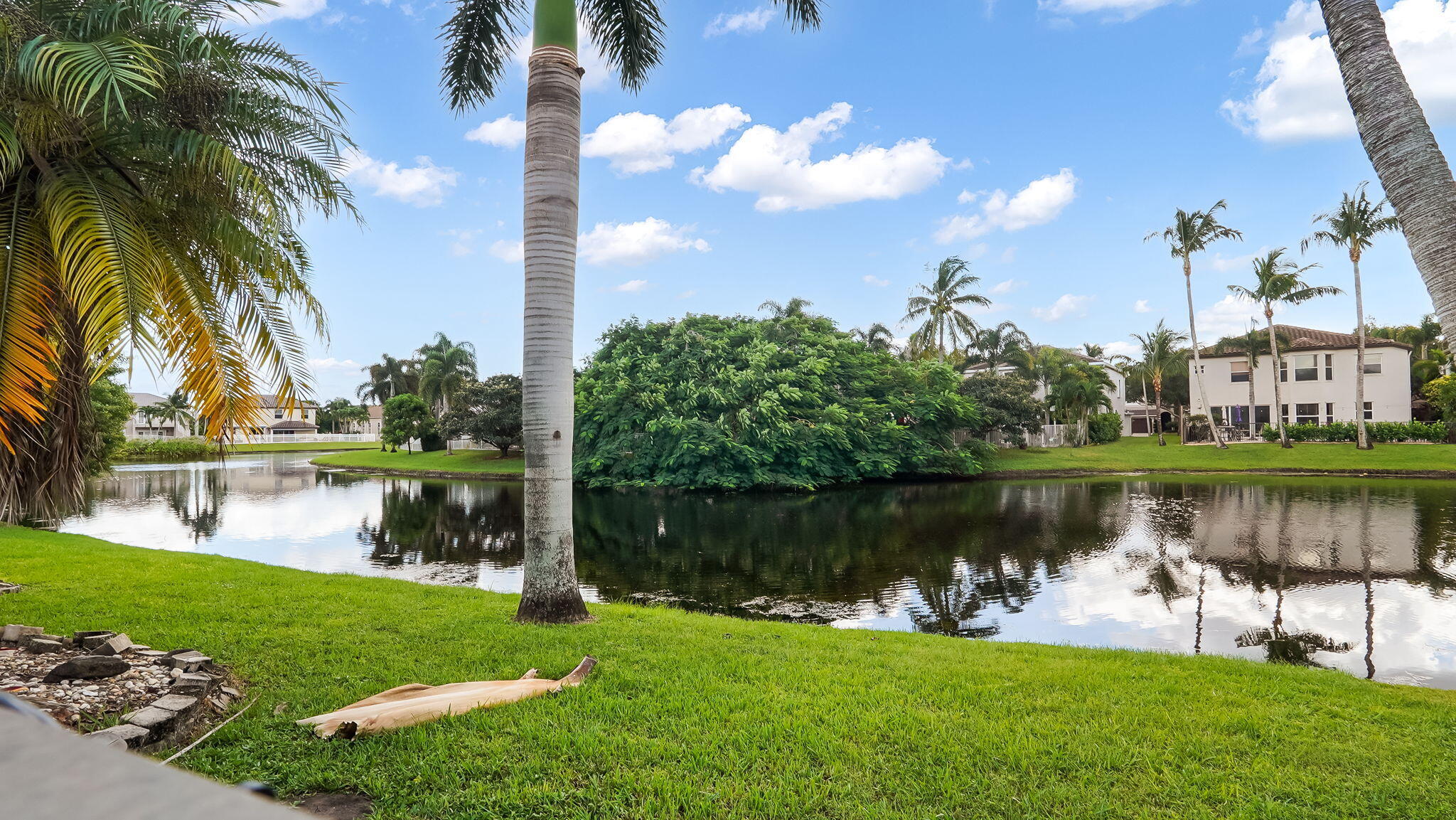 31-web-or-mls-DSC02833