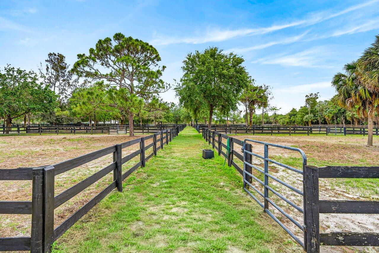 Paddocks