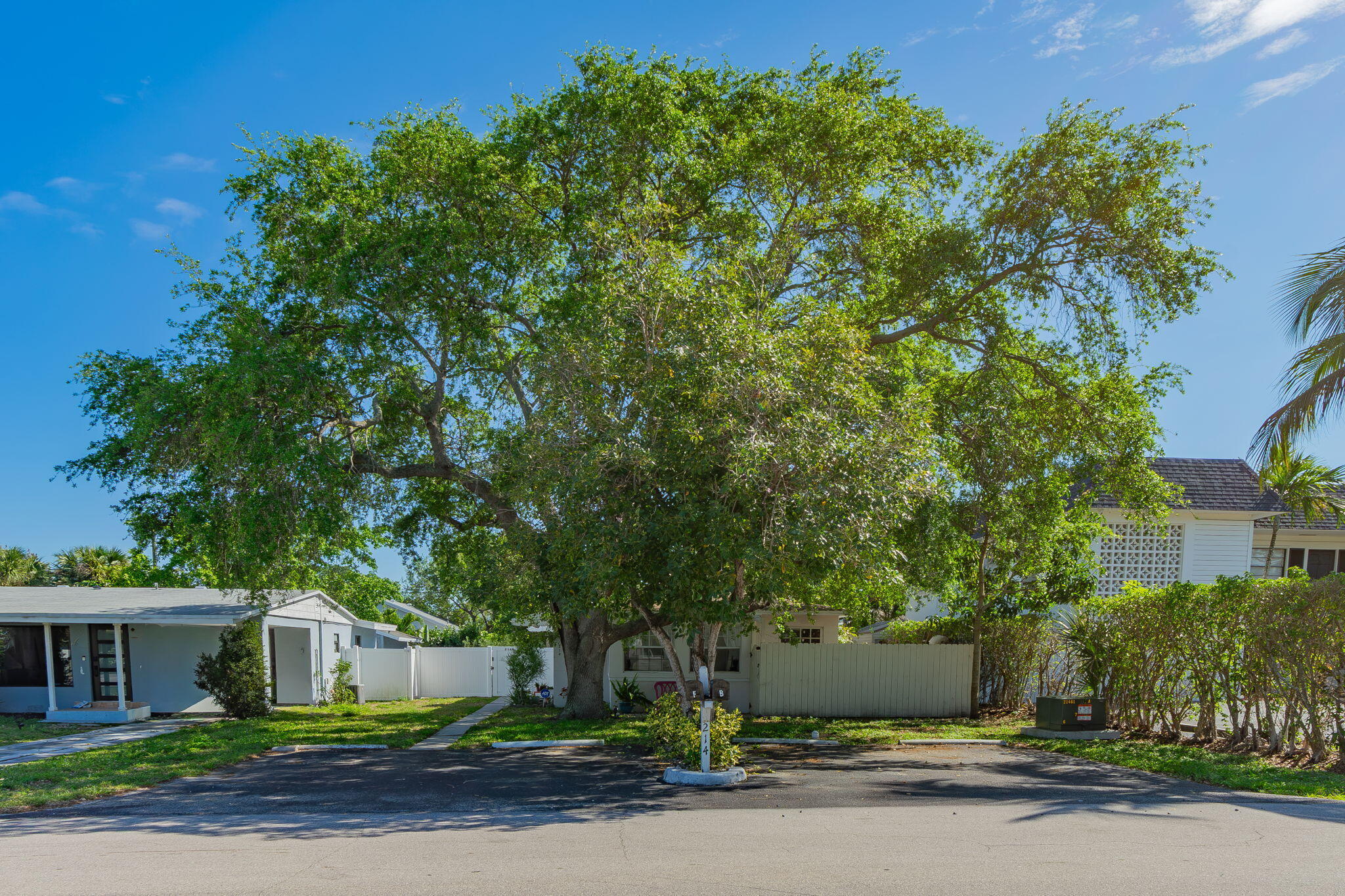 25-web-or-mls-DSC02517