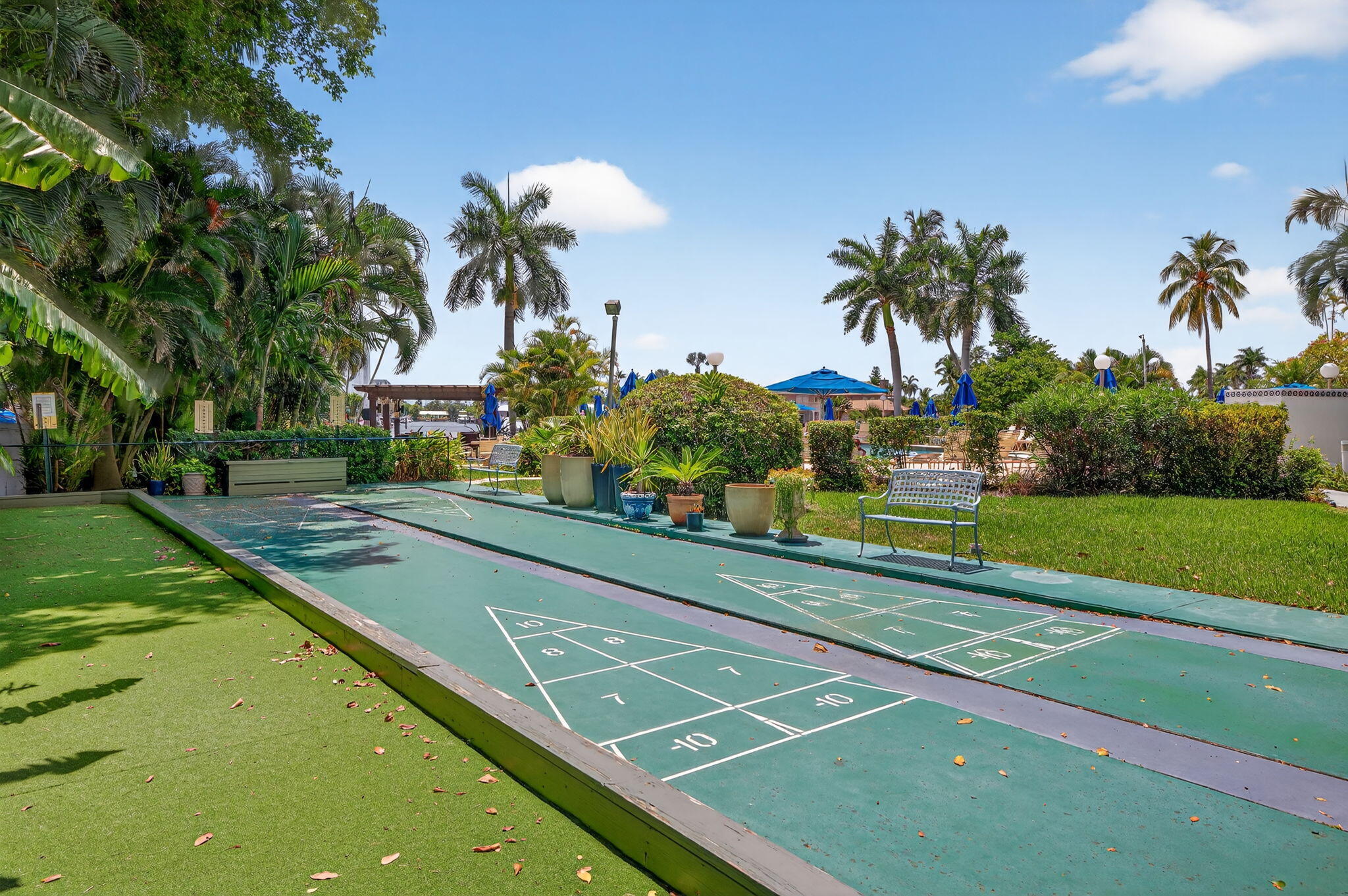 Shuffleboard