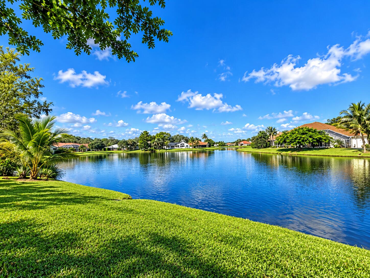 Lake Views