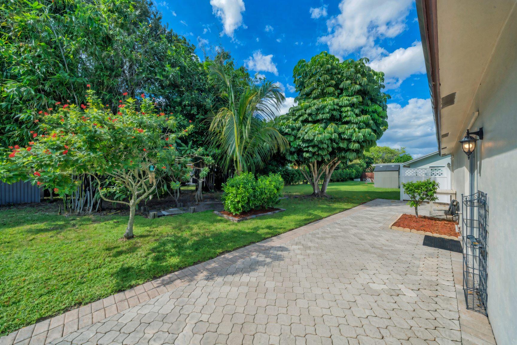 10 Backyard (2)