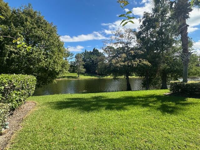 Lake view