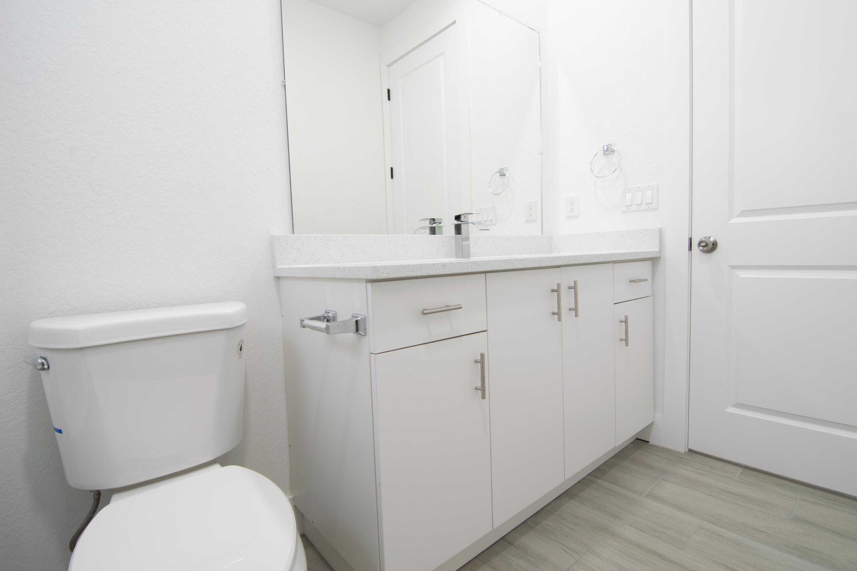 Bathroom Vanity & Toilet