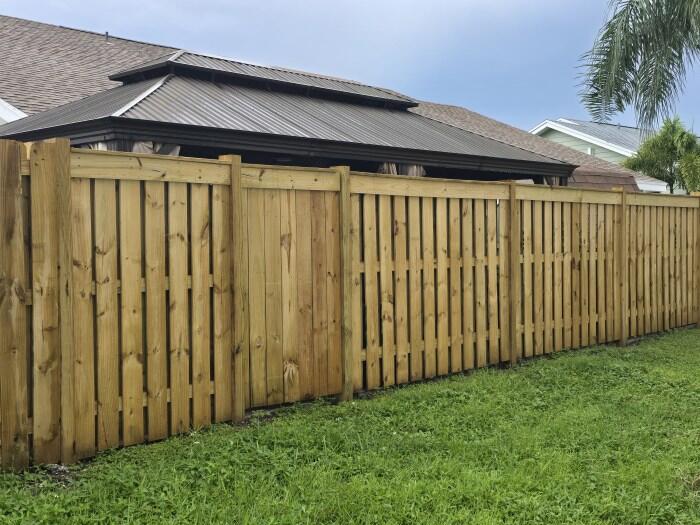 Back Yard (4)
