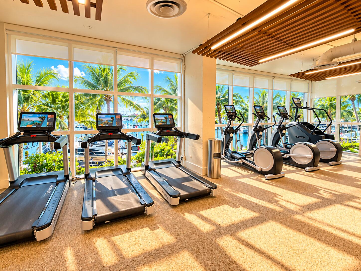 Gym in Sunlight