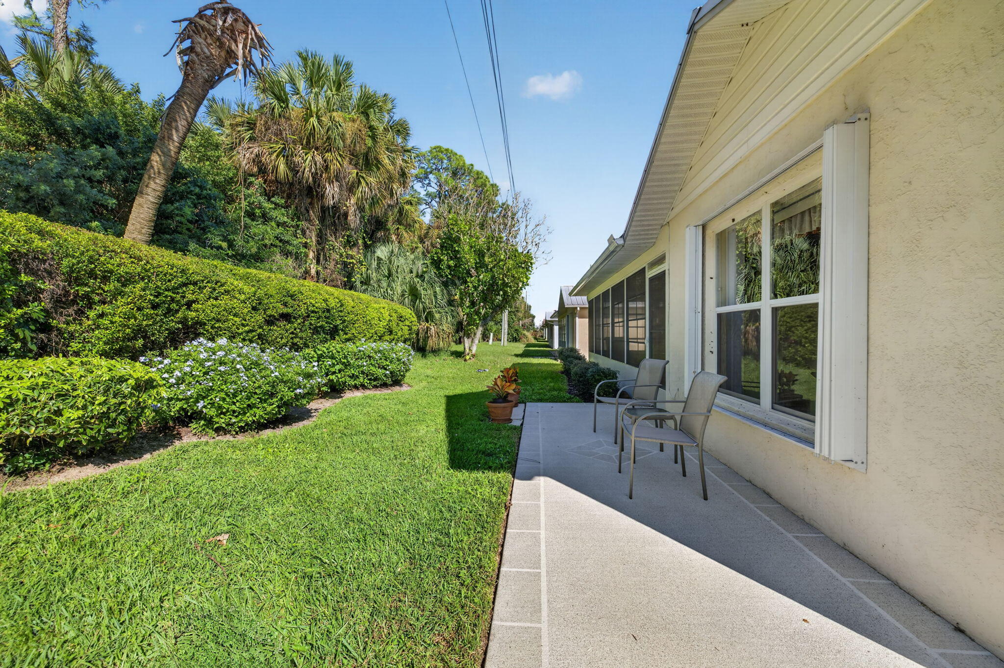 29-web-or-mls-3A5A4299