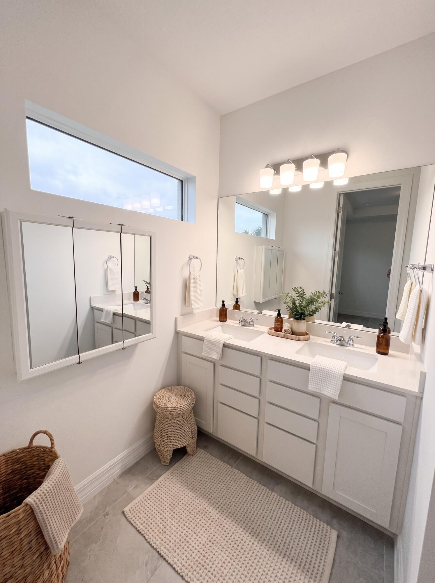 Ownersuite Bathroom Mockup Furnish