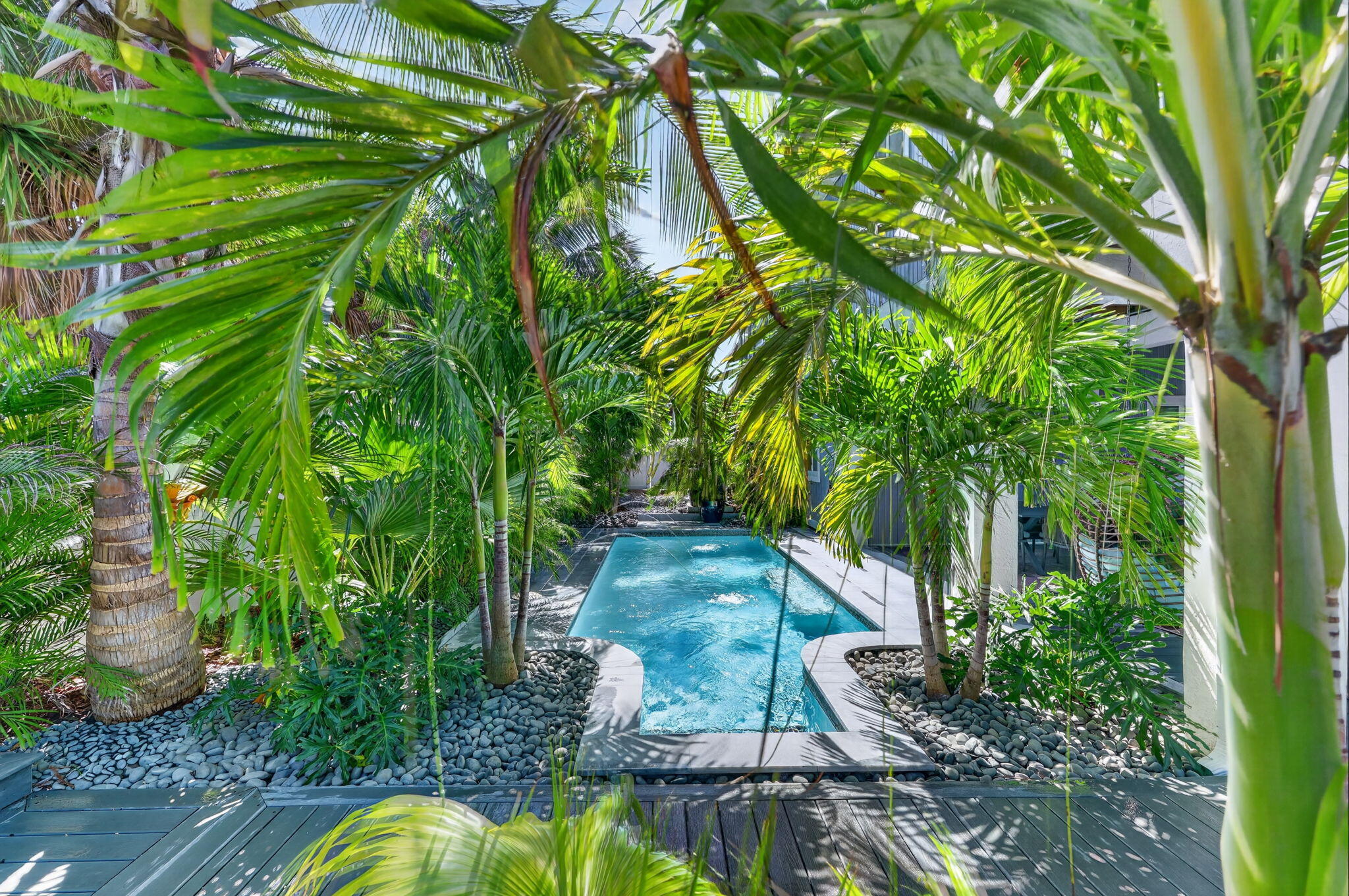 91-web-or-mls-577A3999