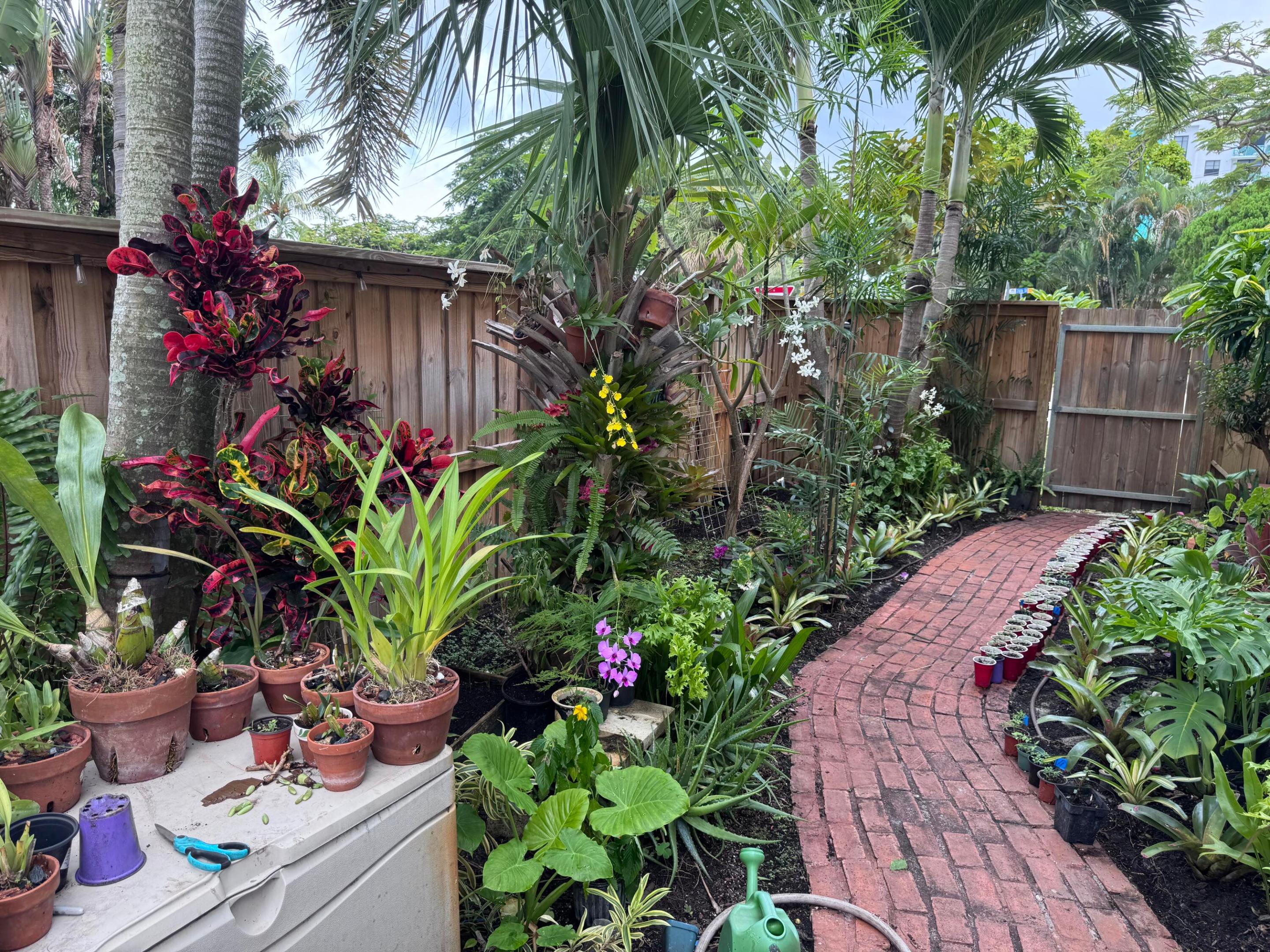 Tropical