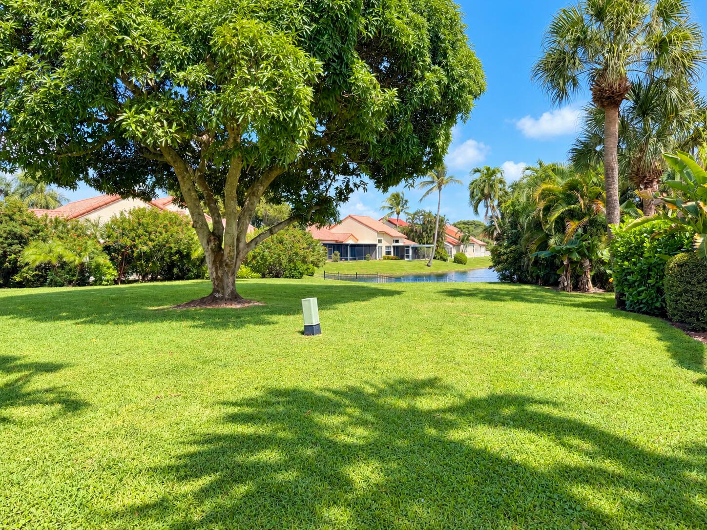 Sunny Florida Backyard Pond View