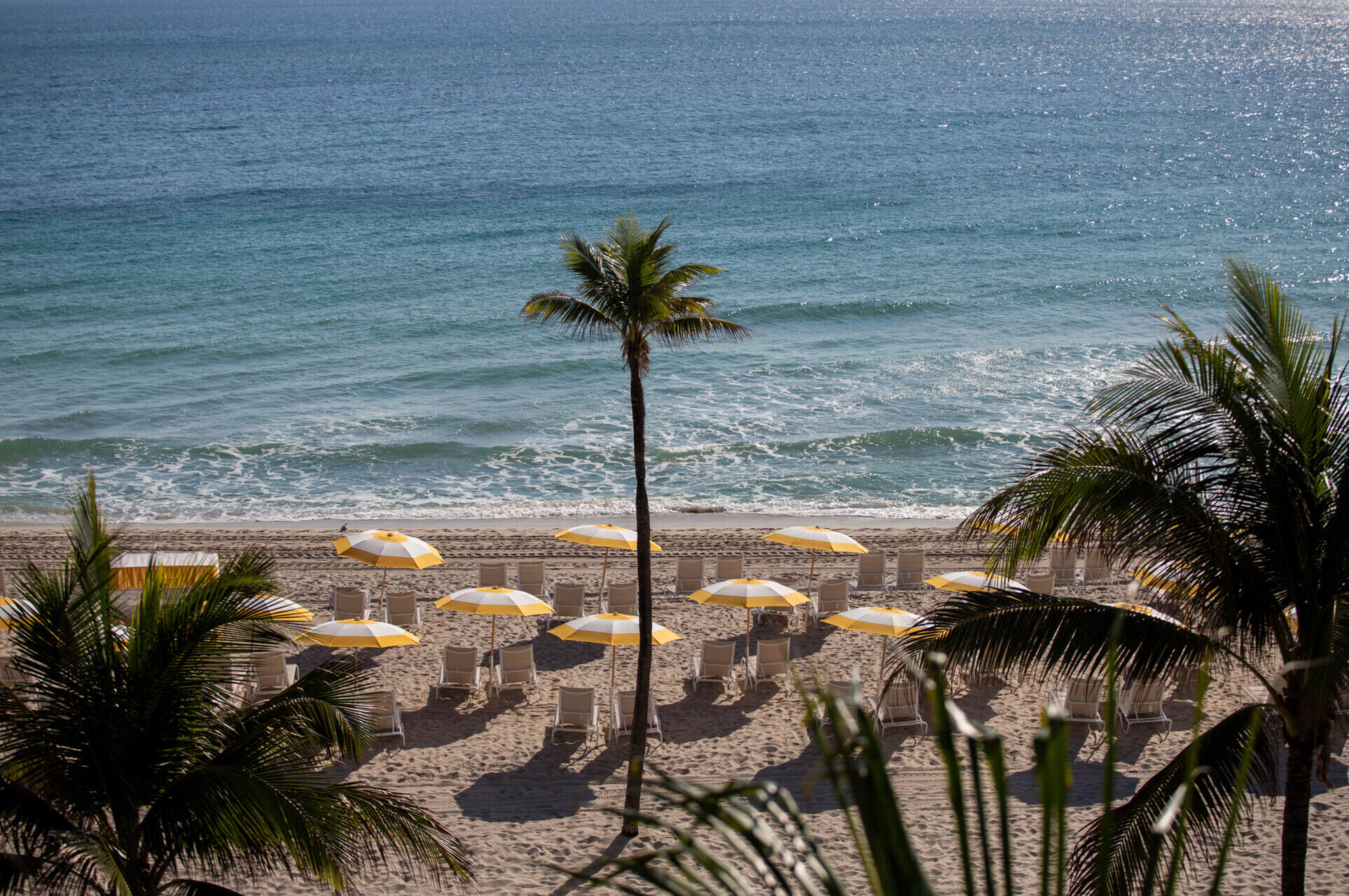 Four Seasons Fort Lauderdale Private Beach