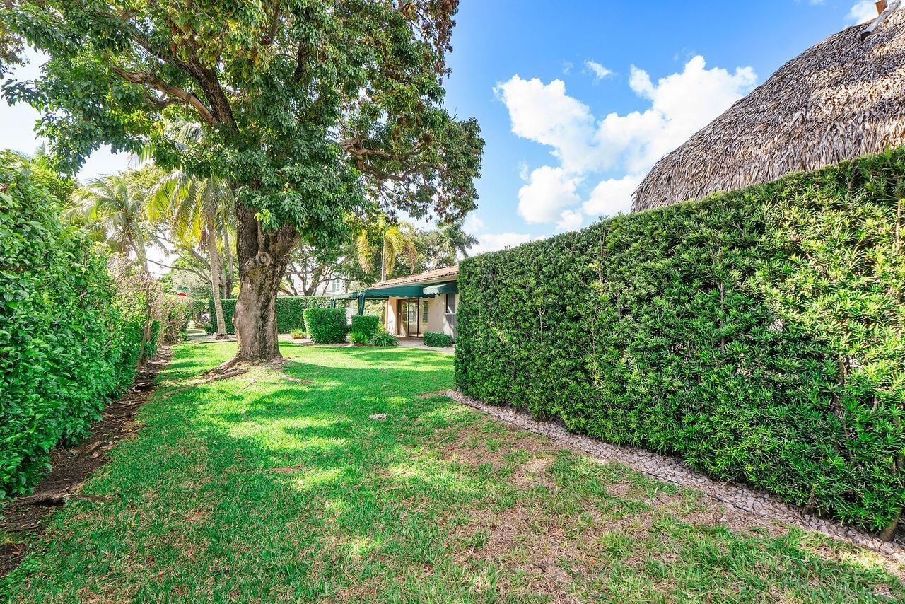 South side yard with view of family room