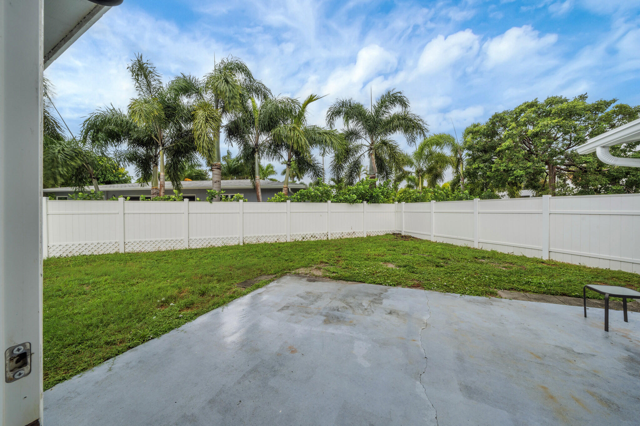 6 backyard (01)