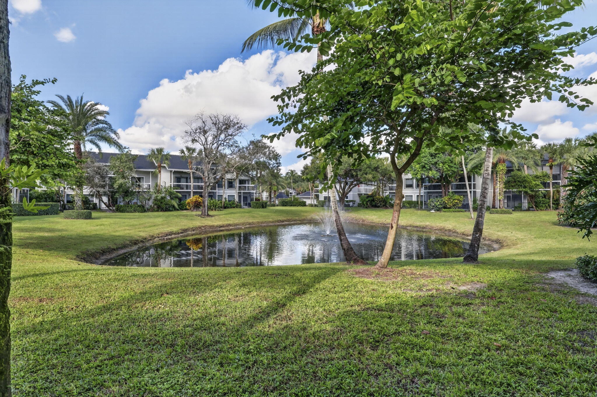 66-web-or-mls-BS1A5375