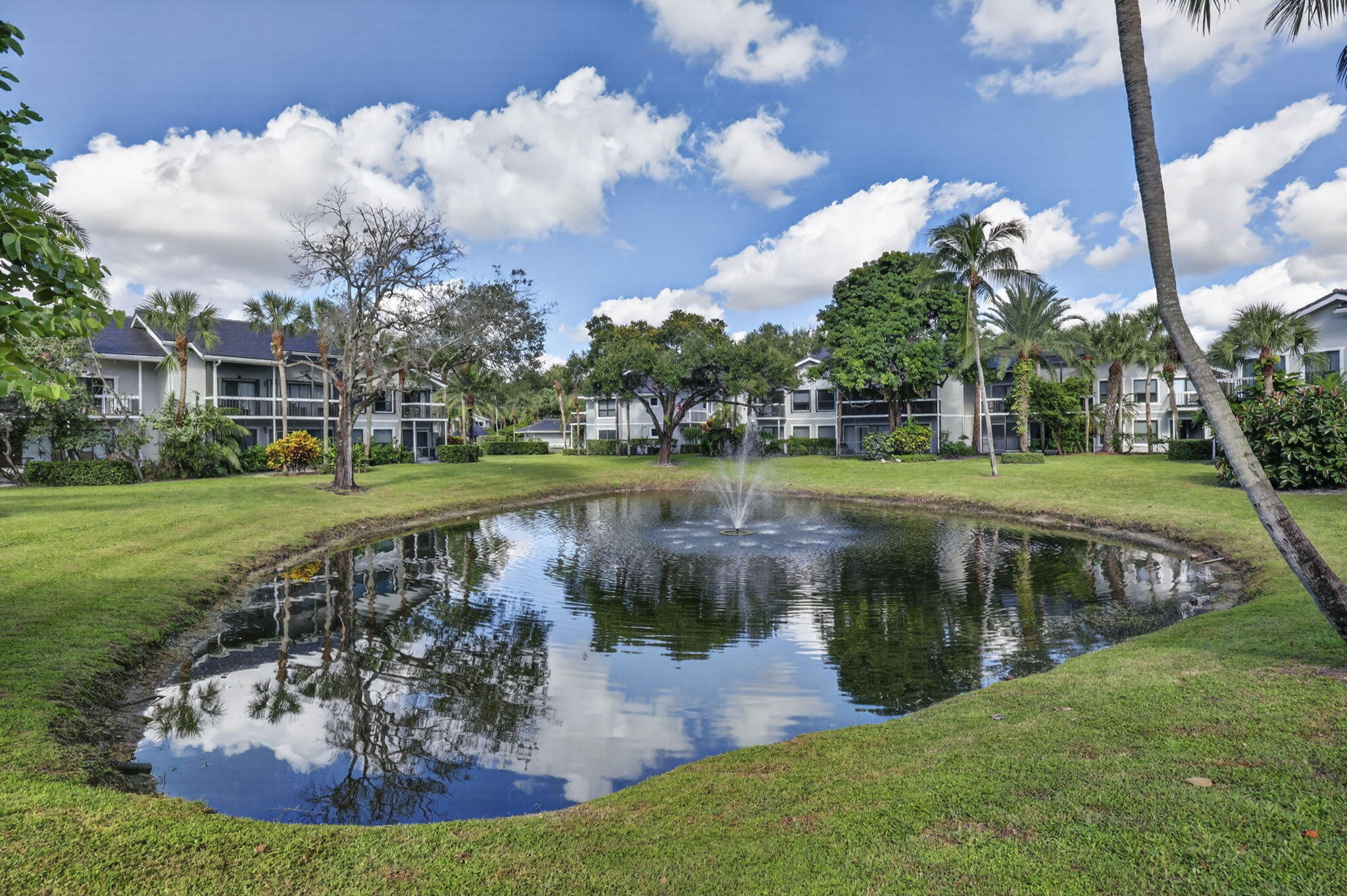 Landscaped grounds featuring a central pond with a fountain, mature palm trees, and expansive lawn areas