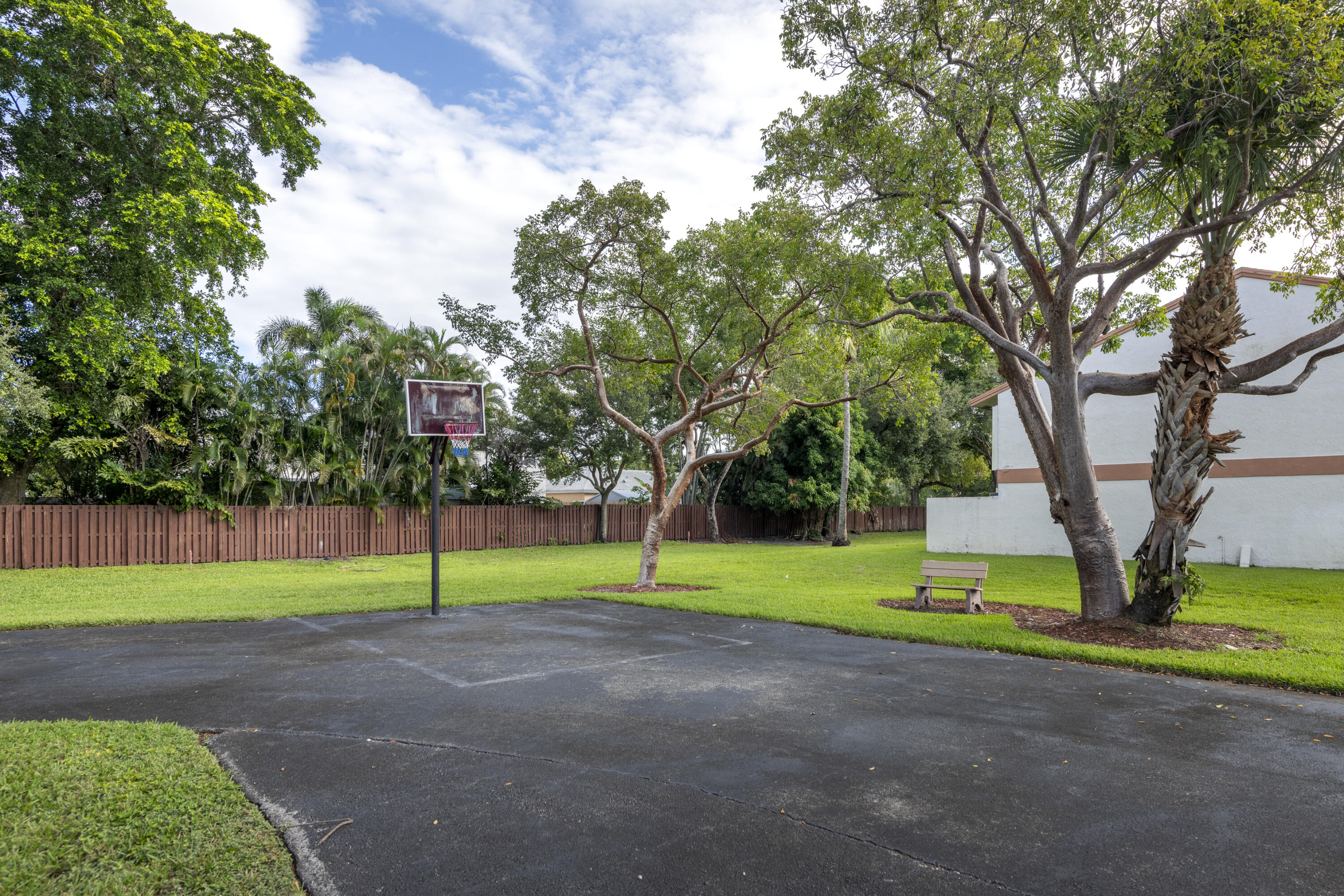basket ball area