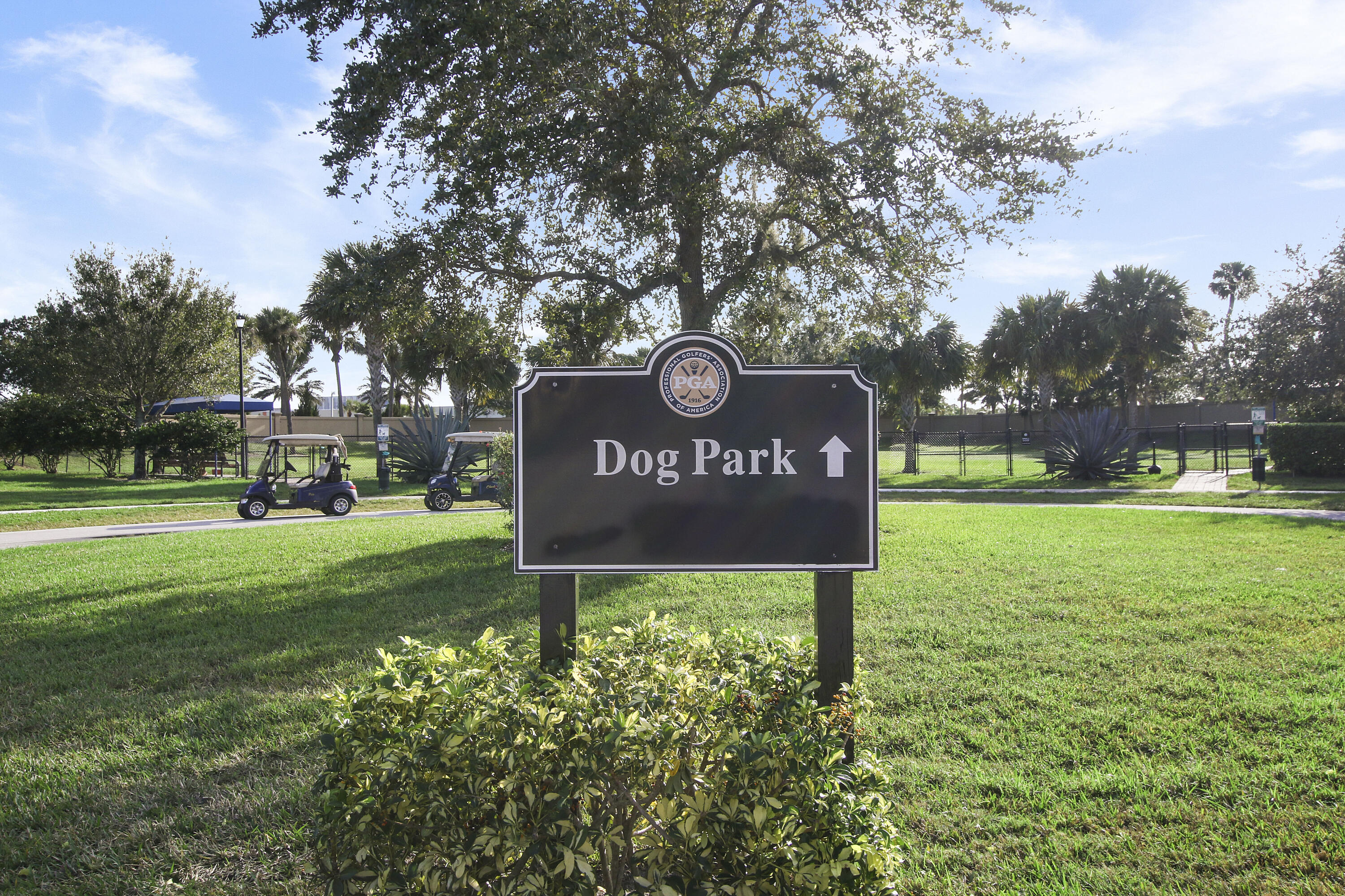 Dog Park