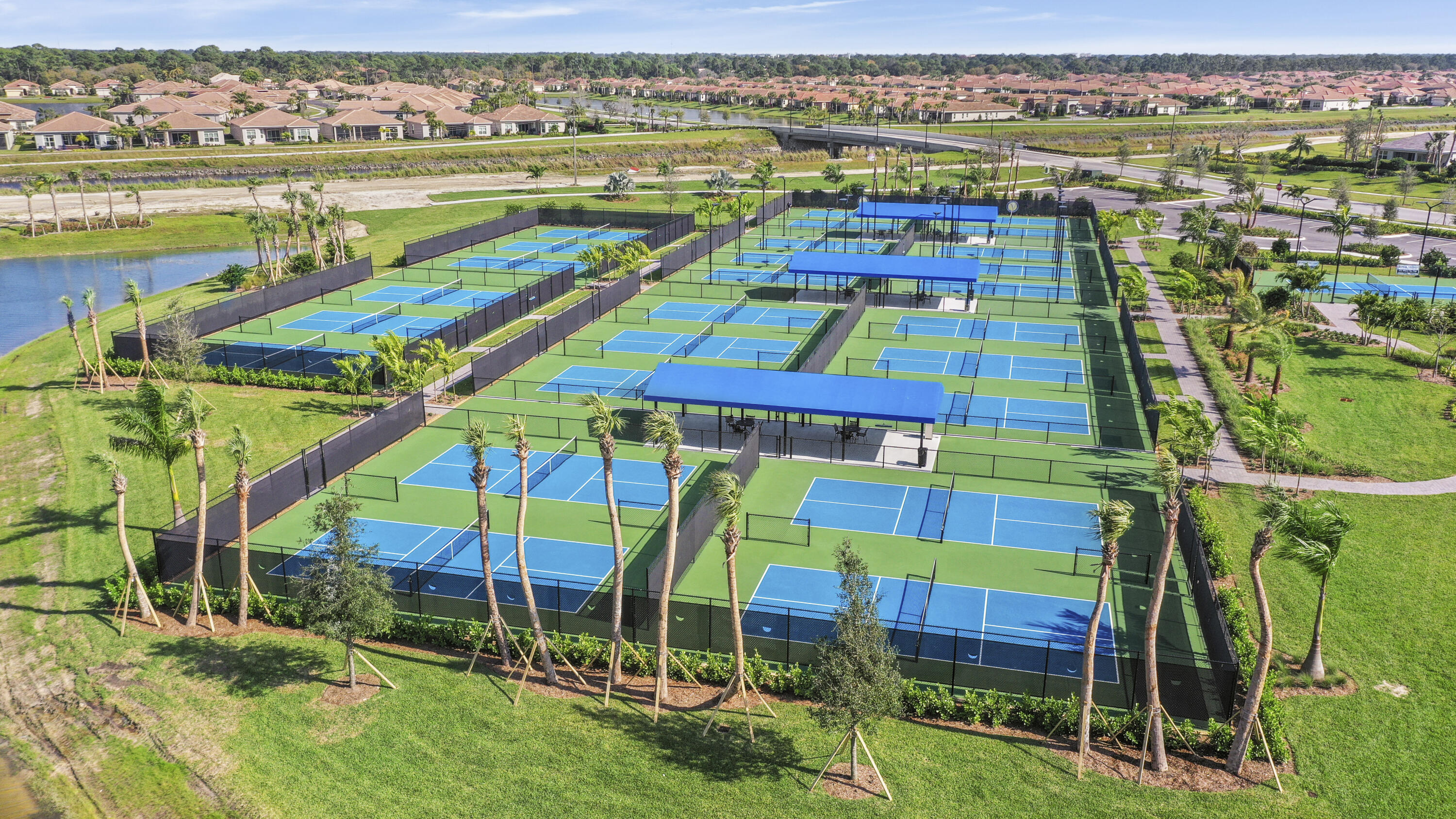 Pickleball