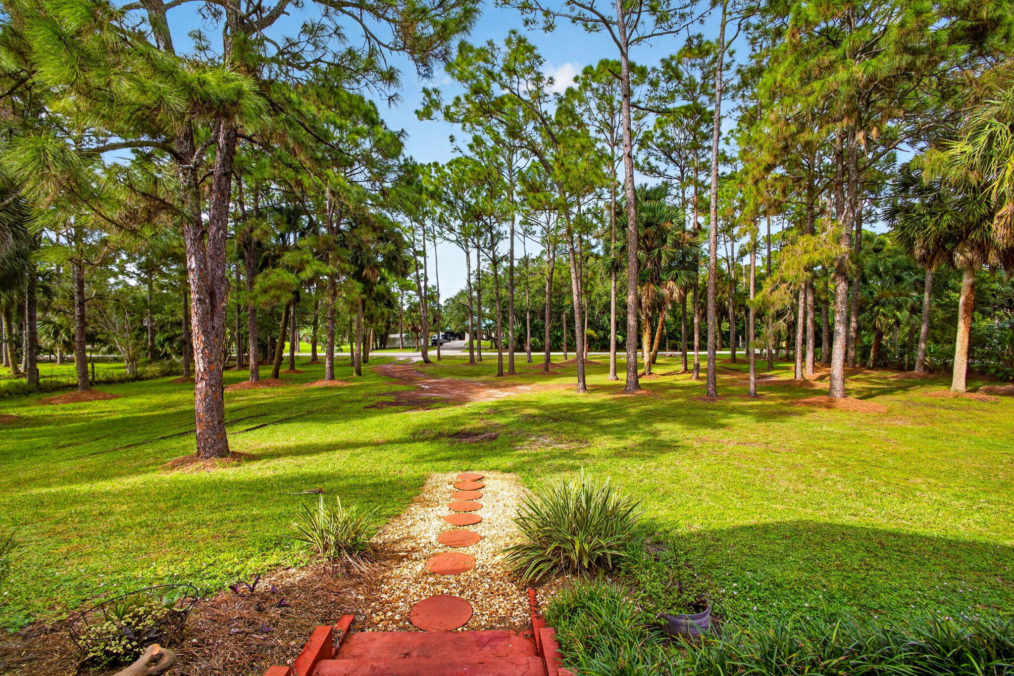 12-web-or-mls-5D1A3297