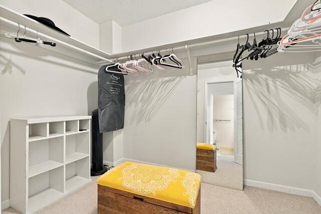 Walk In Closet