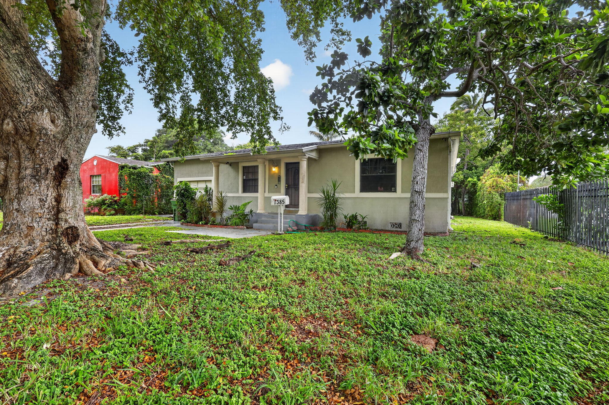3-web-or-mls-8H3A1593 3-web-or-mls-8H3A1593