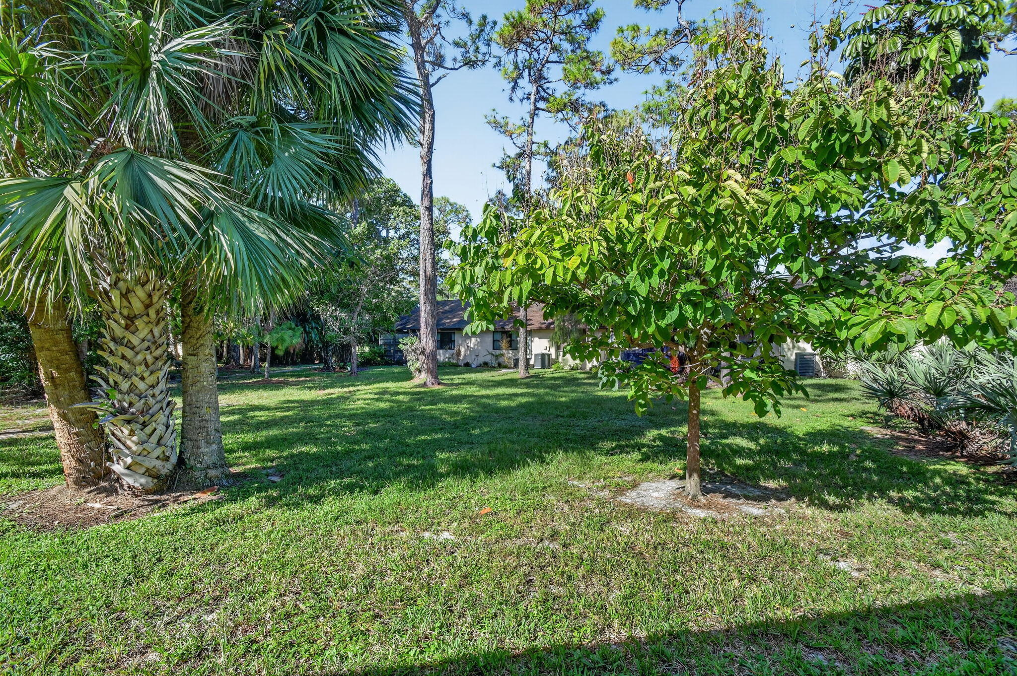 Outdoor View