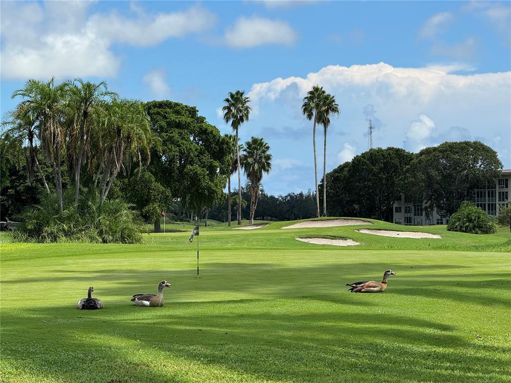 18 Hole Executive Golf course