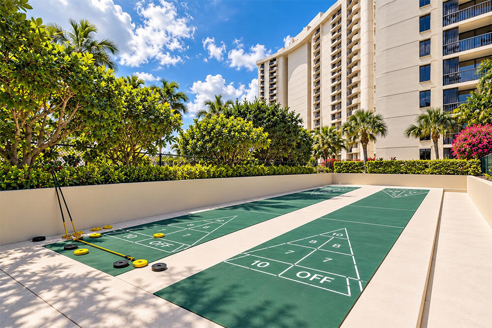 Shuffle Board