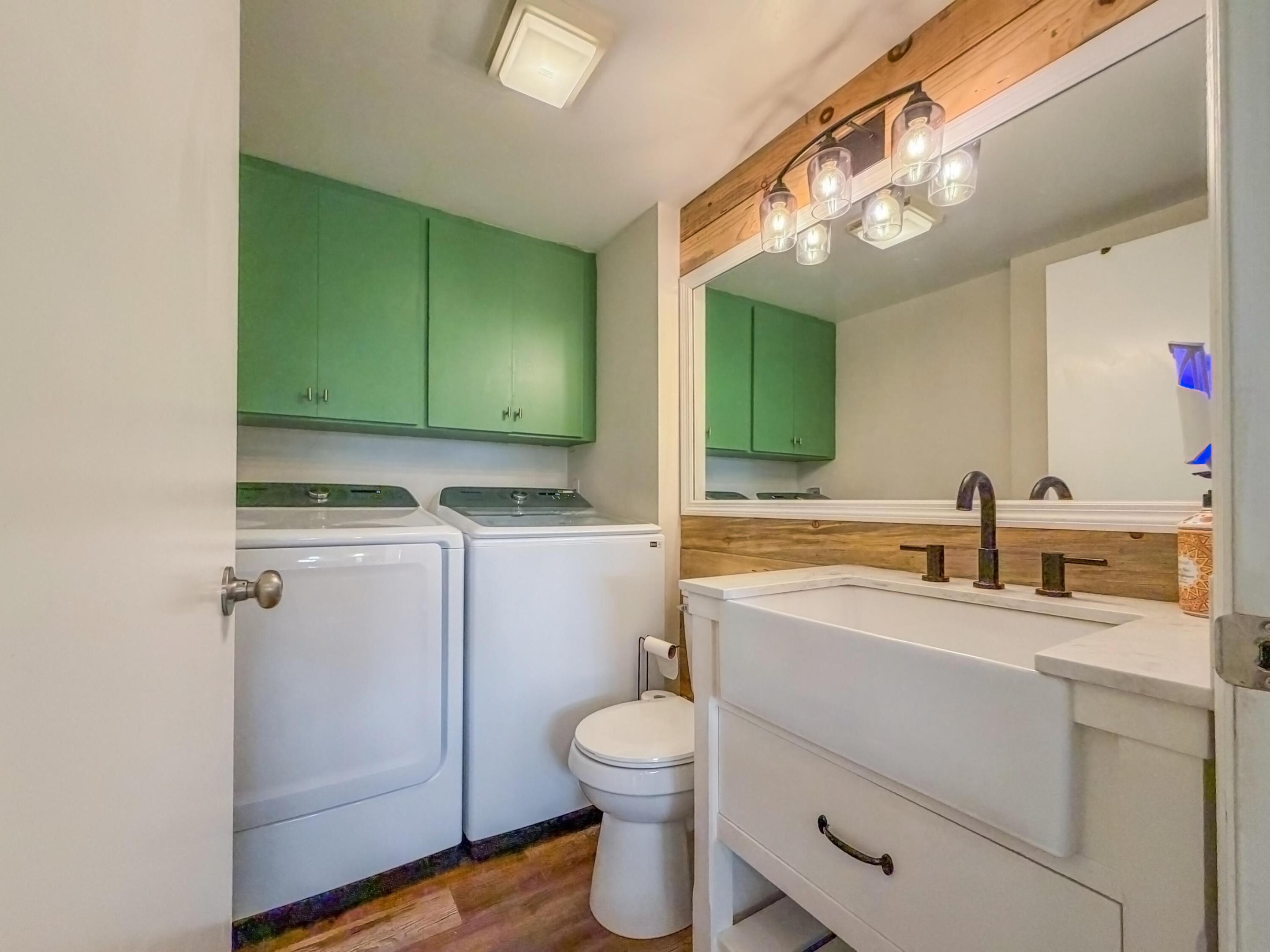 Farmhouse-style vanity with apron-front sink and matte black faucet, wood-paneled wall accent, glass globe vanity lighting, and wall-mounted green cabinetry