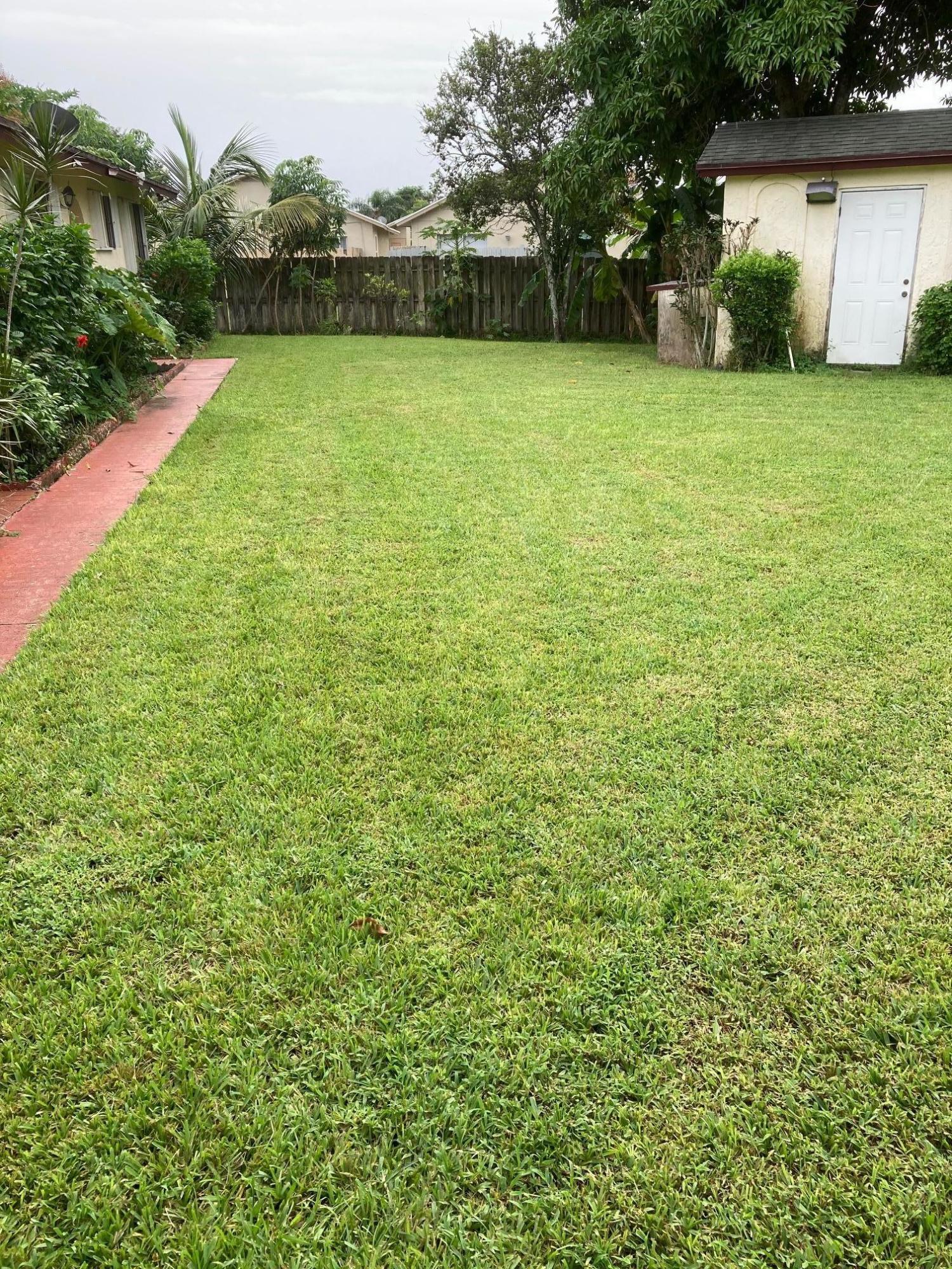 COURTYARD GRASS