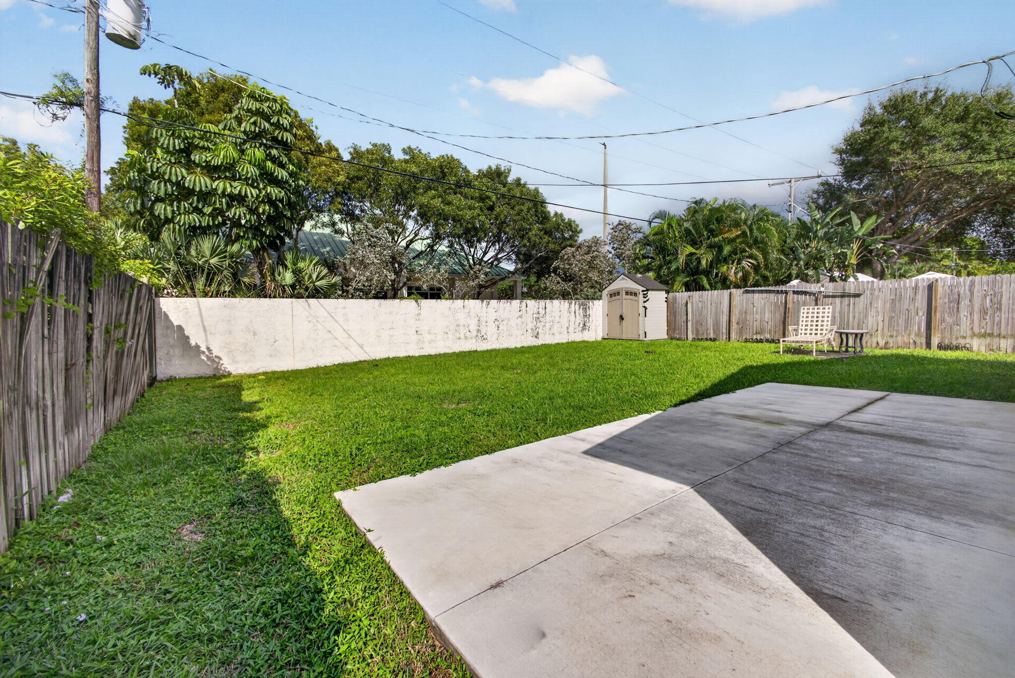 50-web-or-mls-5D1A2952