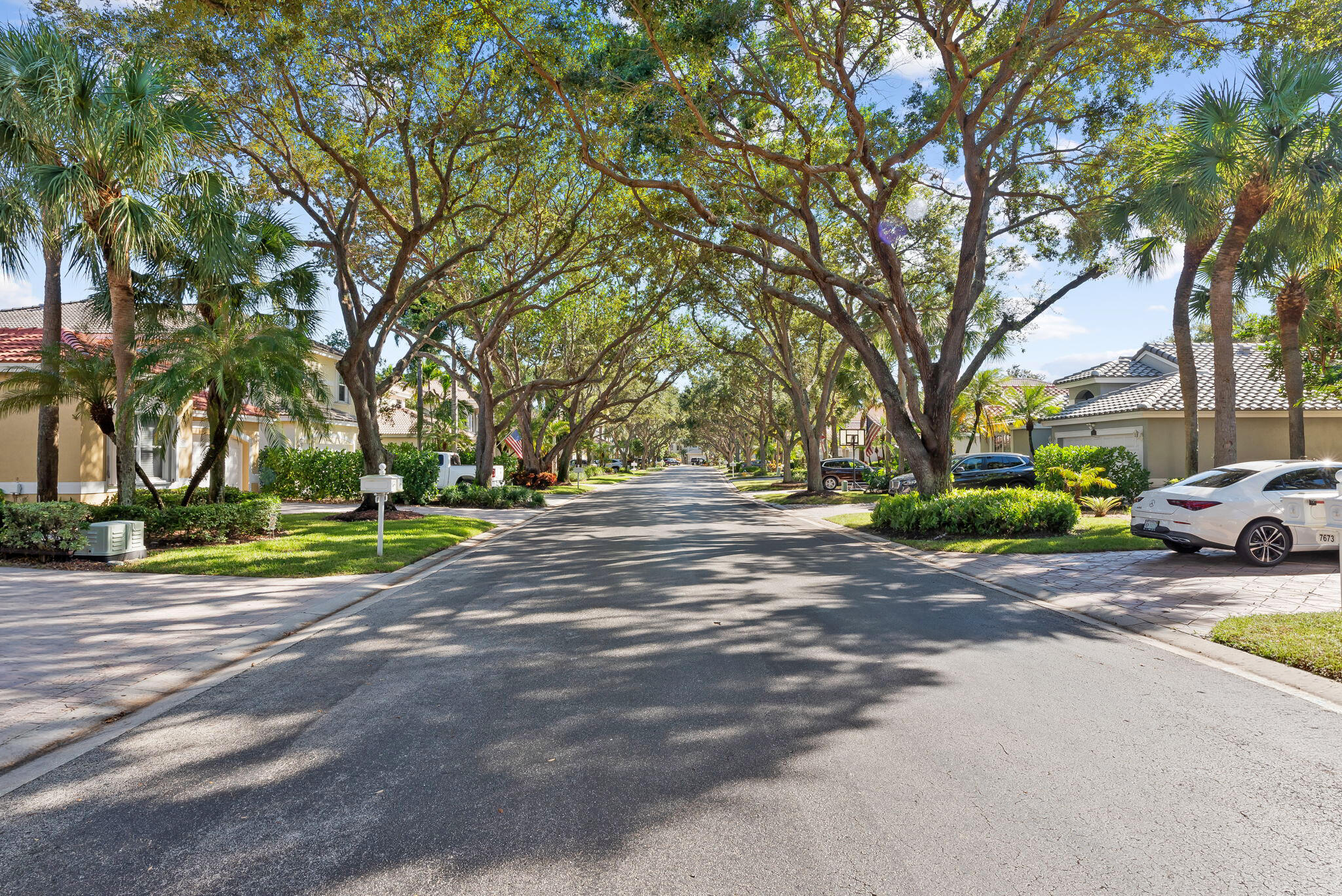 Beautiful tree-lined street