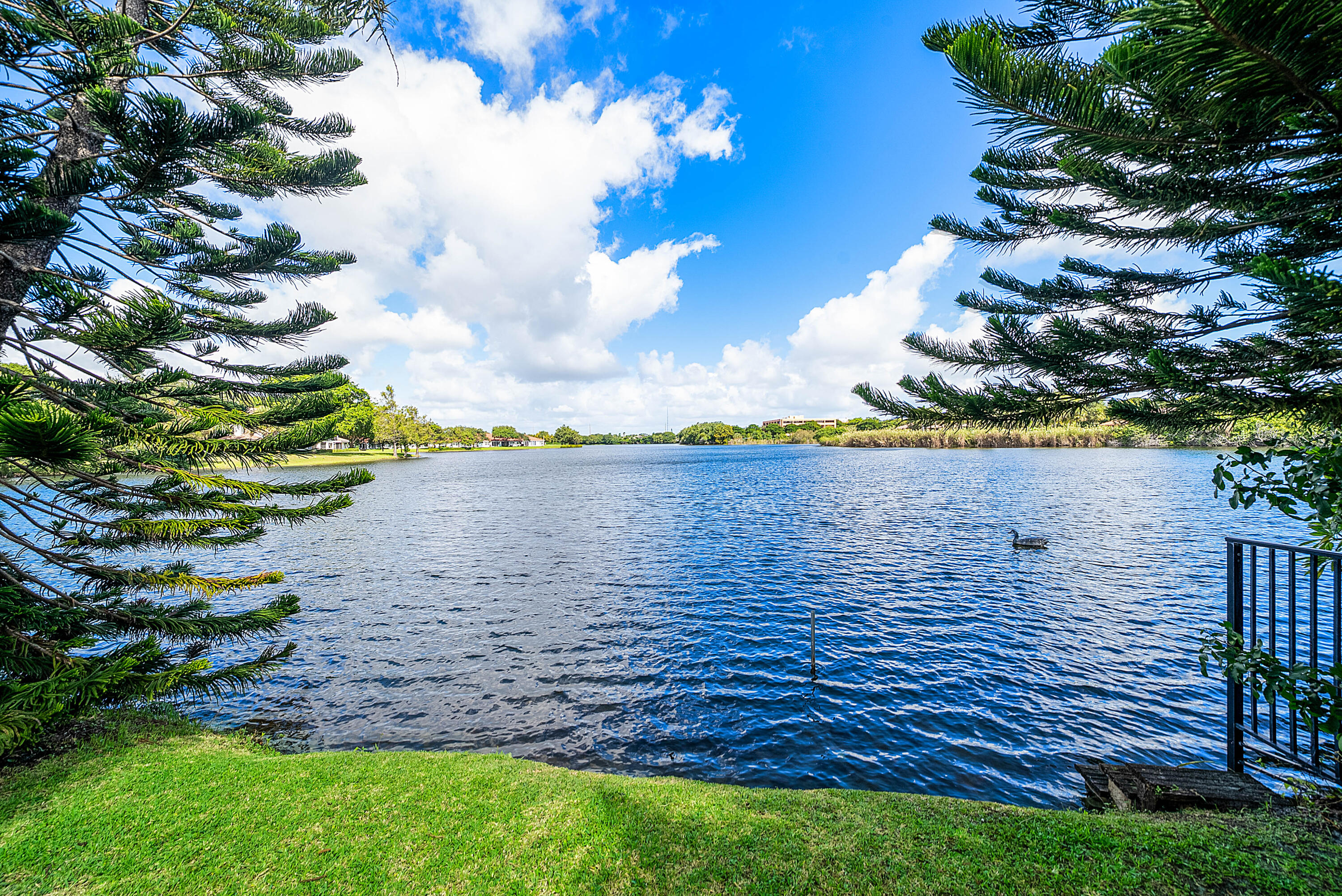 Lake Views 2