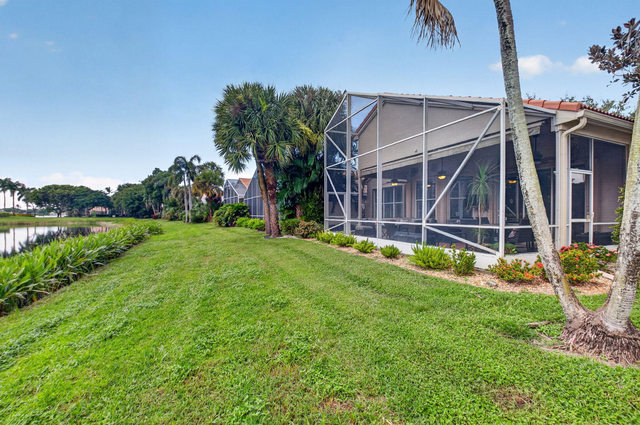 View of Backyard