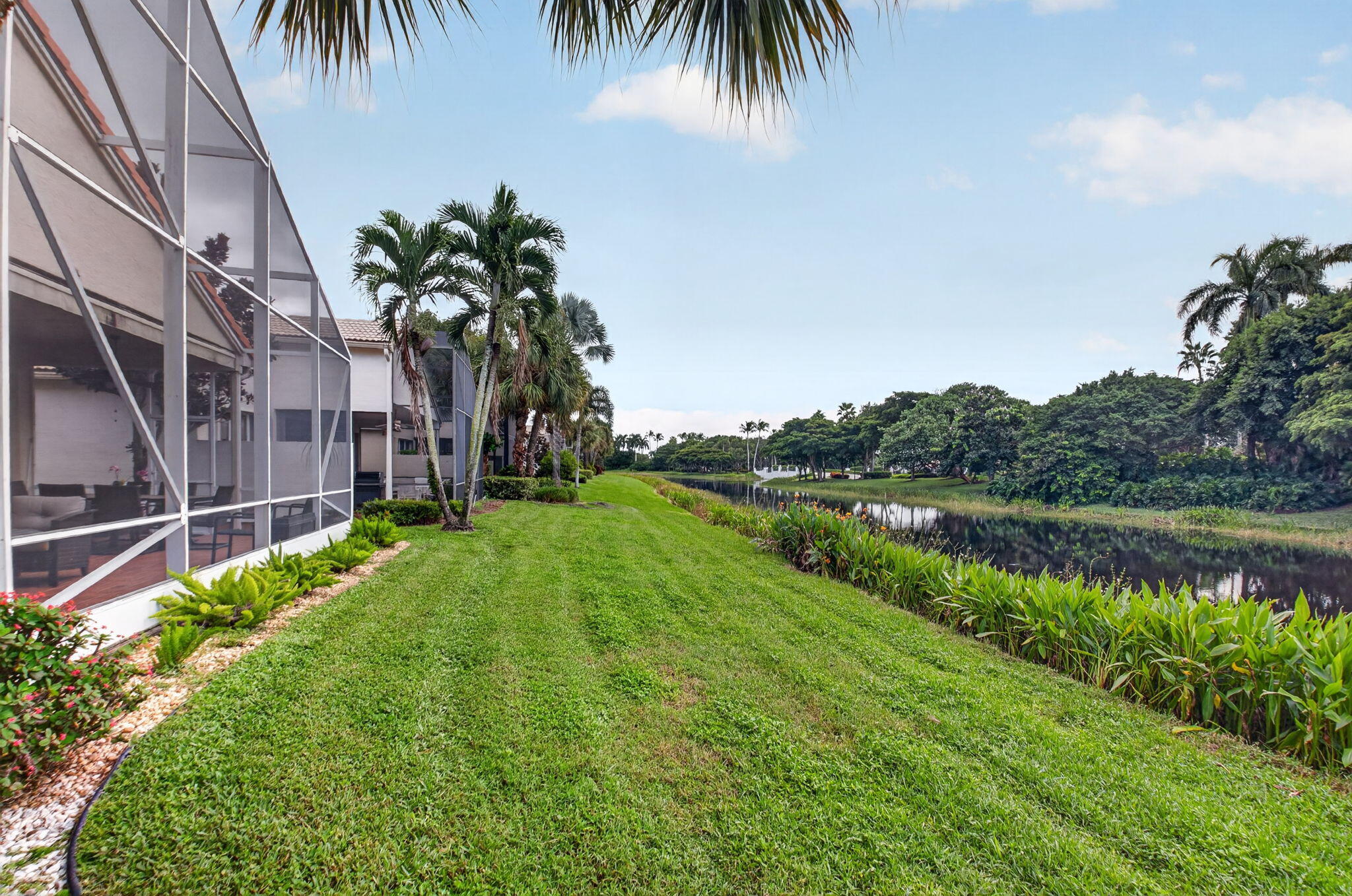 View of Backyard