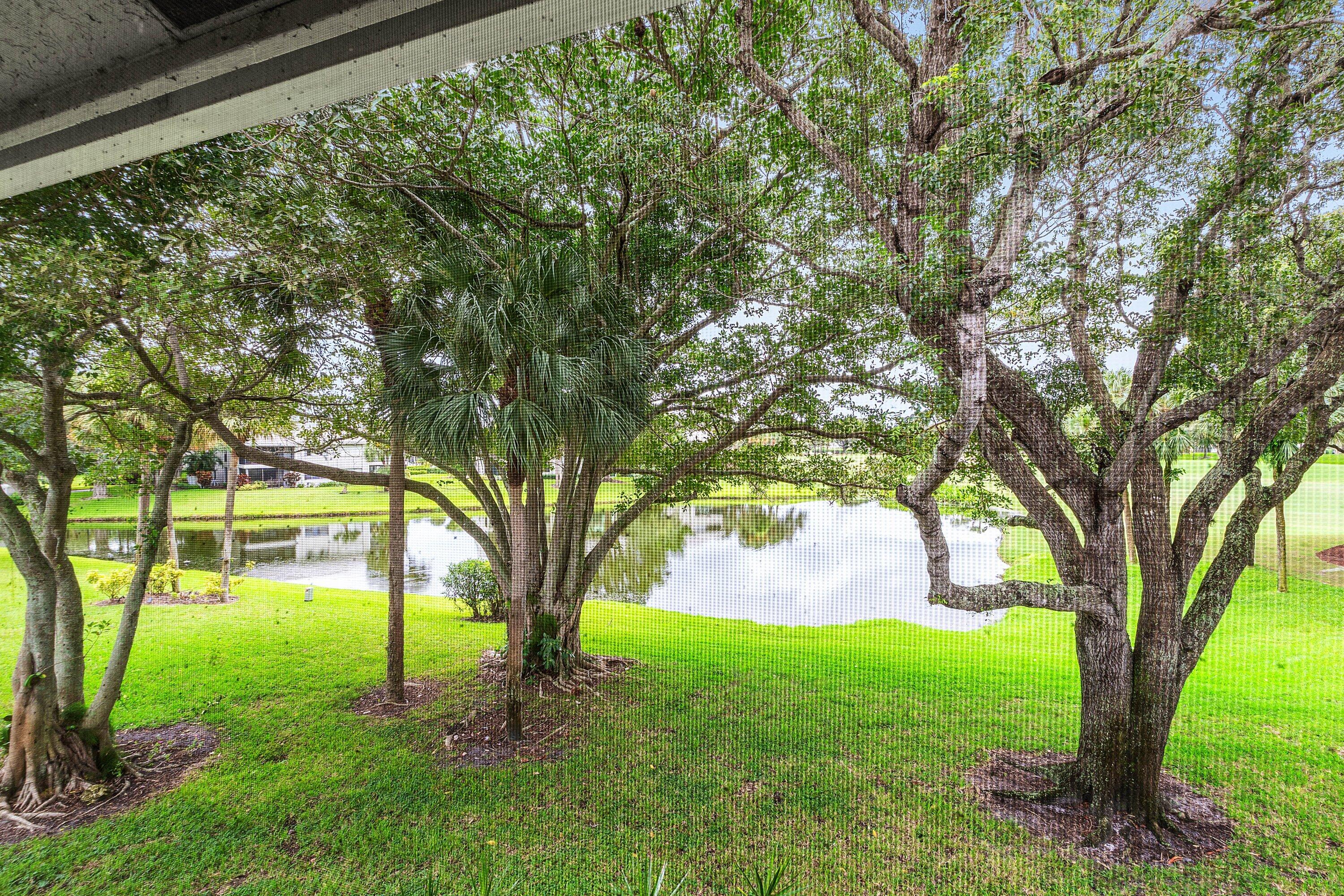 Screen-enclosed outdoor space featuring mature trees and waterfront exposure