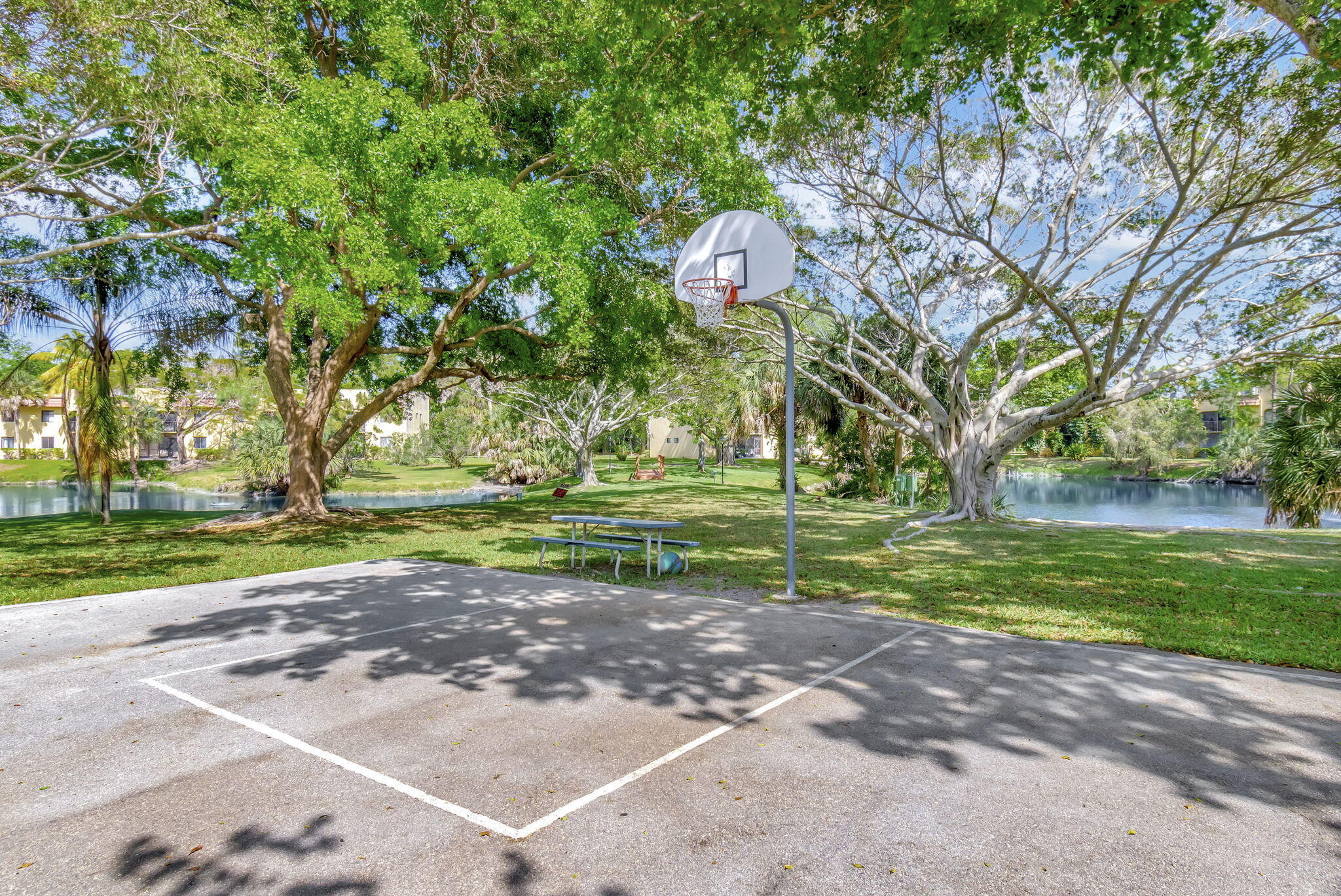 basketball court