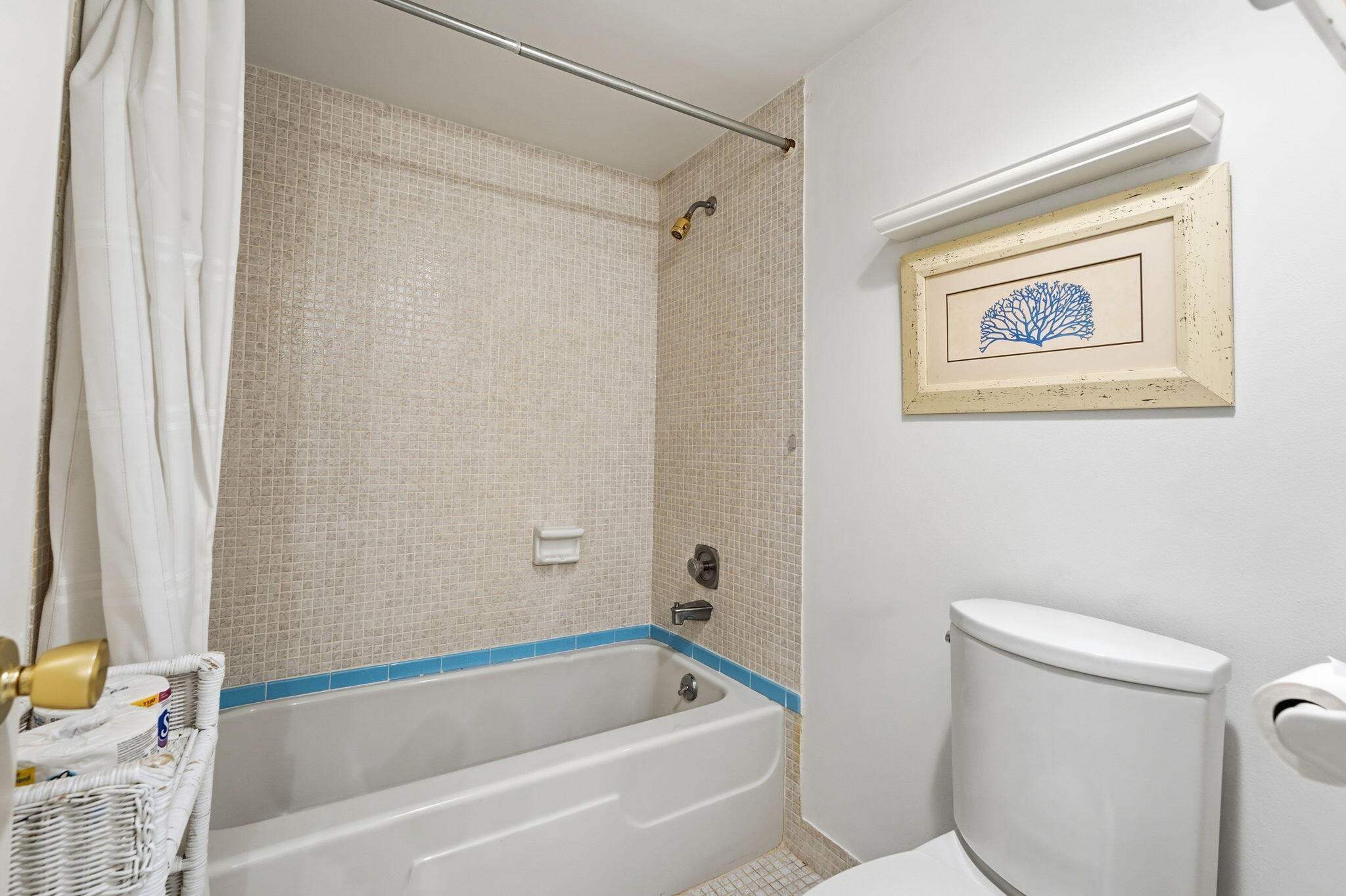 Bath Top Primary