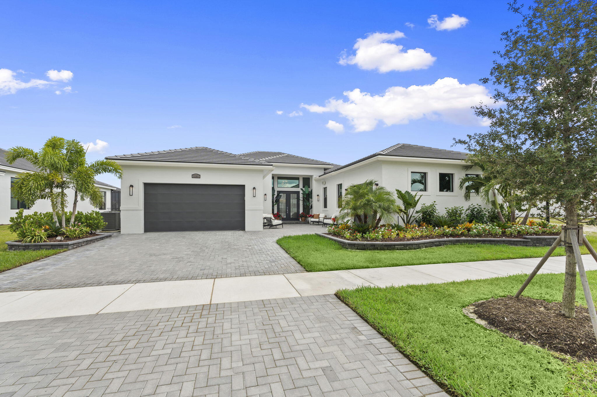 8-web-or-mls-DSC06554