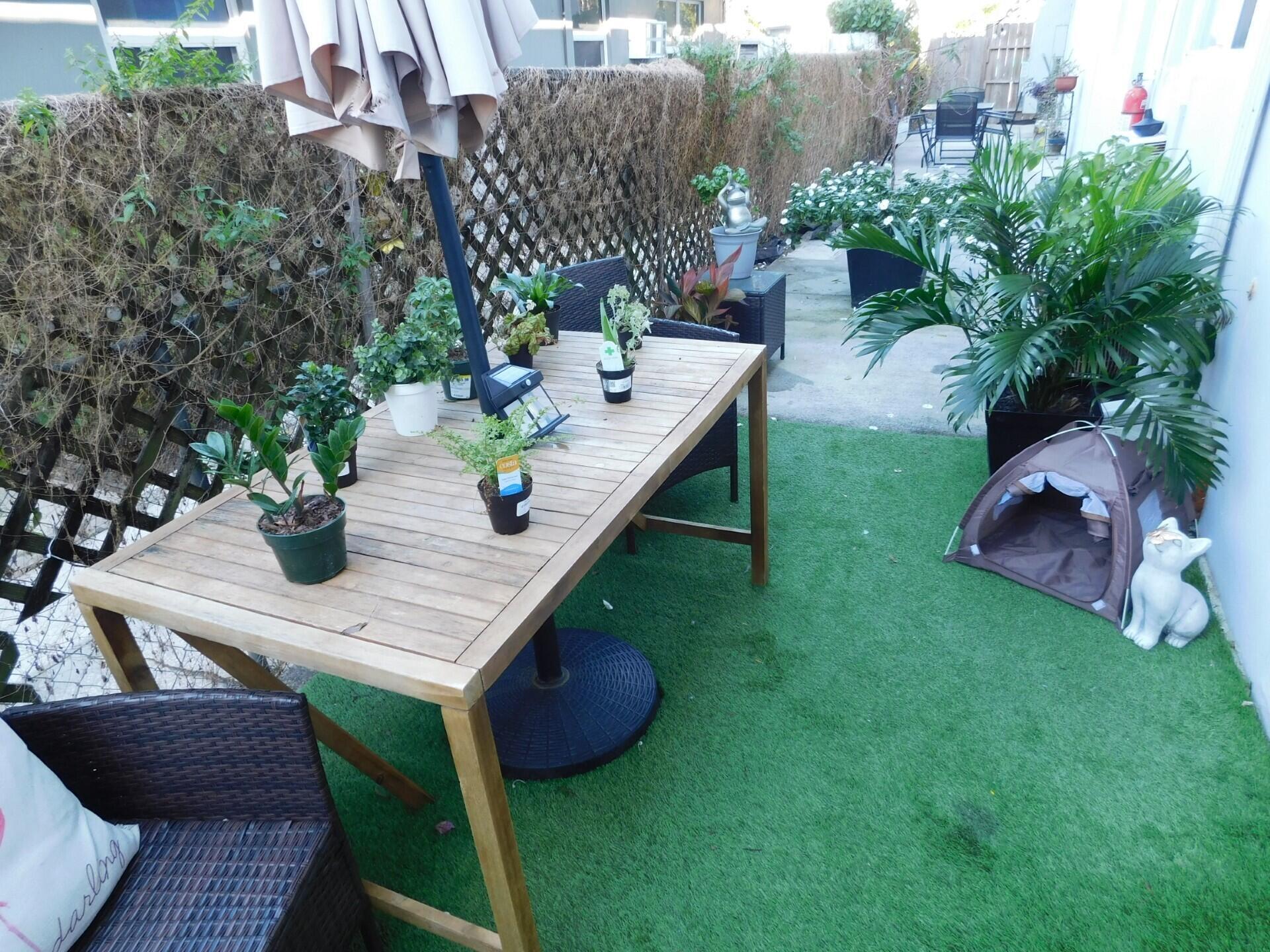 Back patio